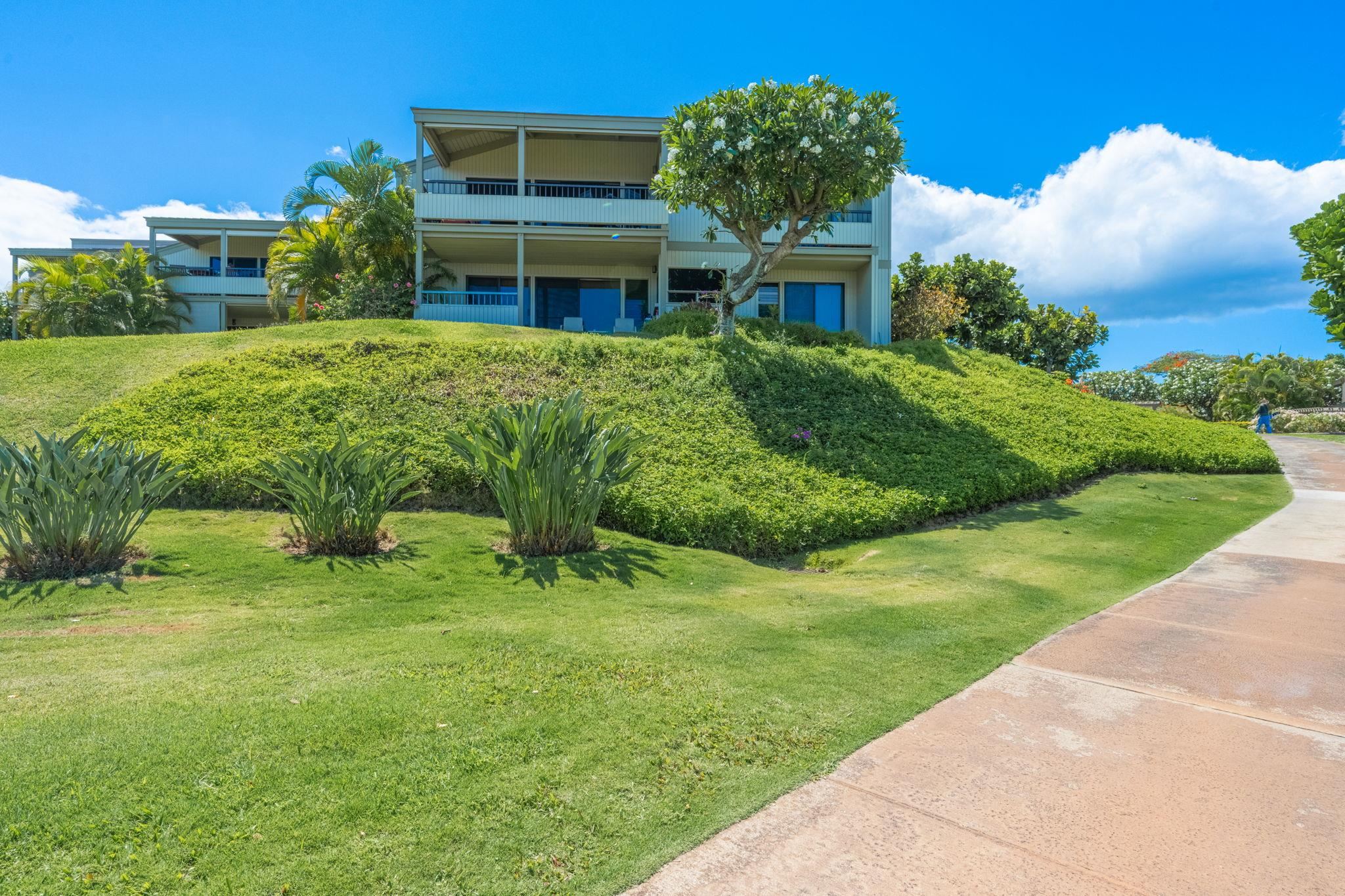 Wailea Ekolu condo # 201, Kihei, Hawaii - photo 44 of 50