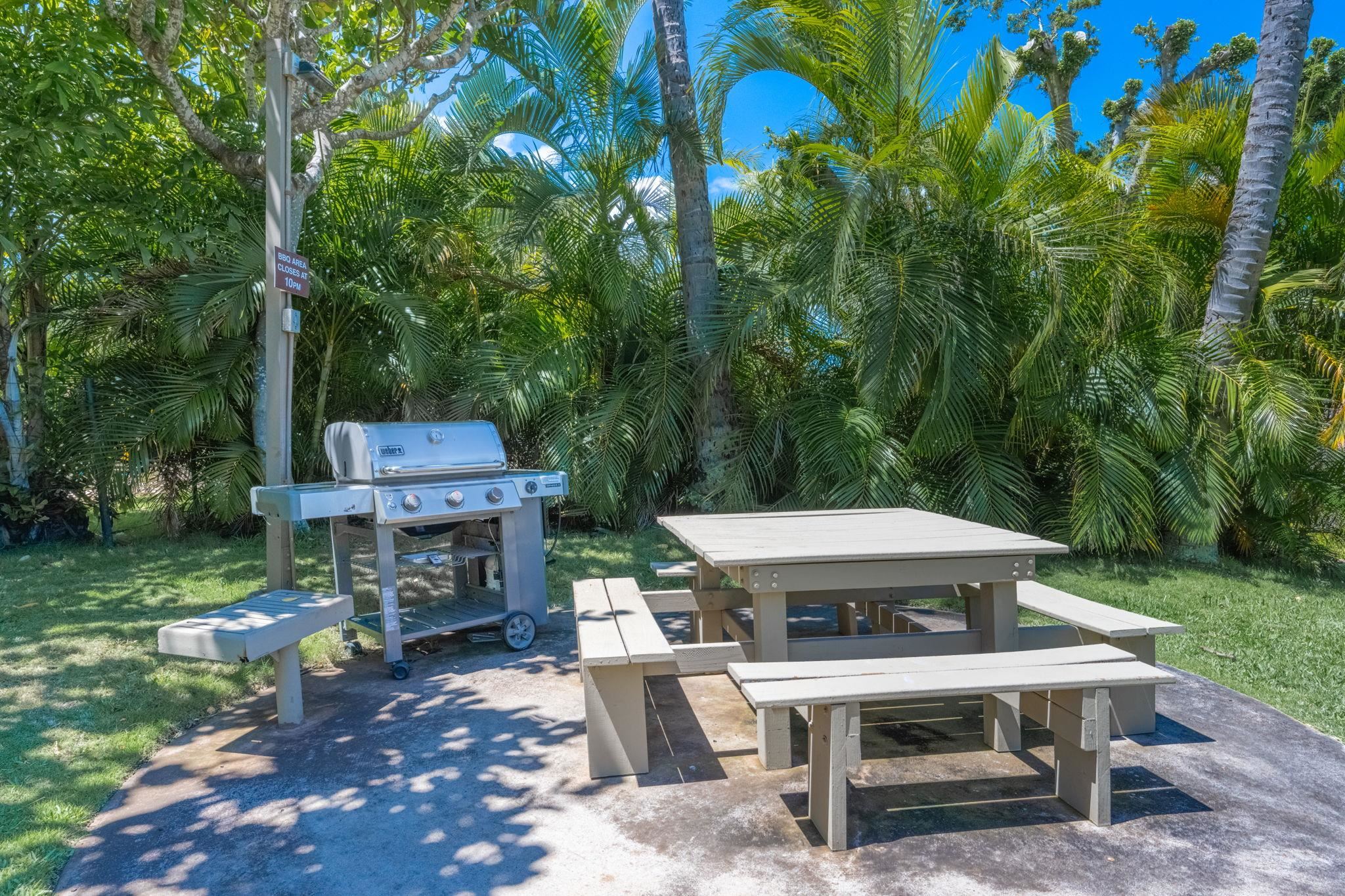 Wailea Ekolu condo # 201, Kihei, Hawaii - photo 46 of 50