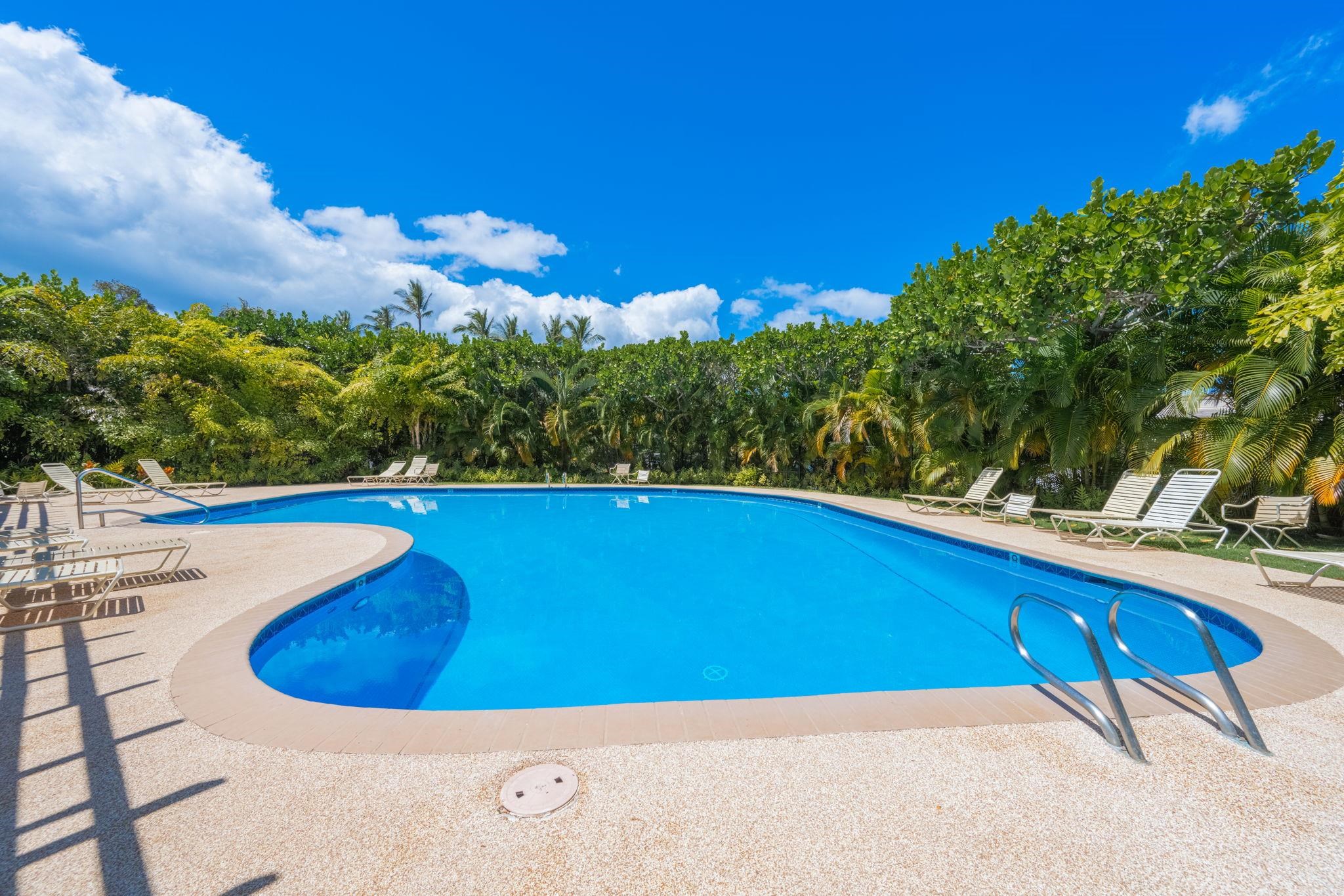 Wailea Ekolu condo # 201, Kihei, Hawaii - photo 50 of 50