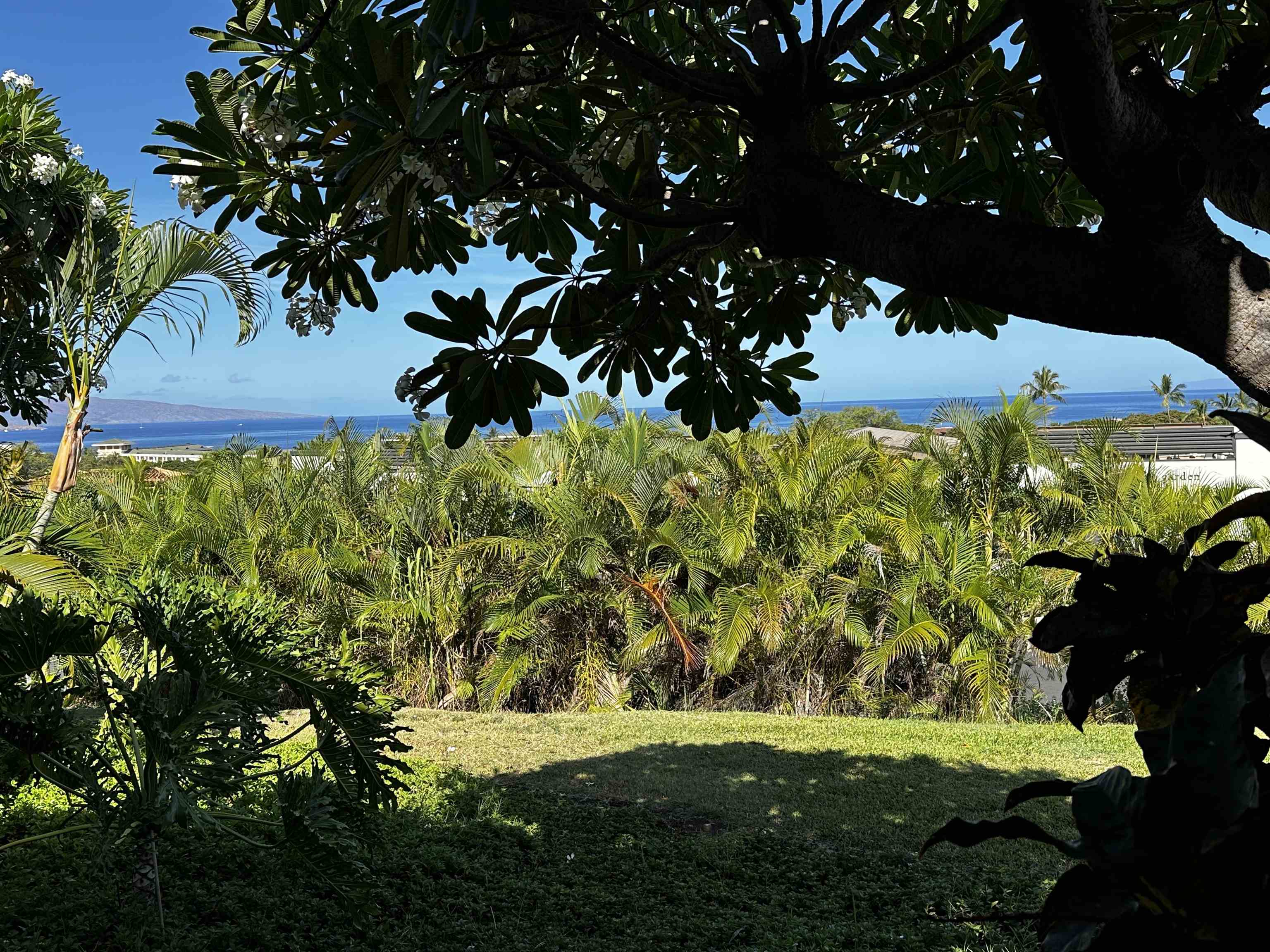 Wailea Ekolu condo # 203, Kihei, Hawaii - photo 30 of 50