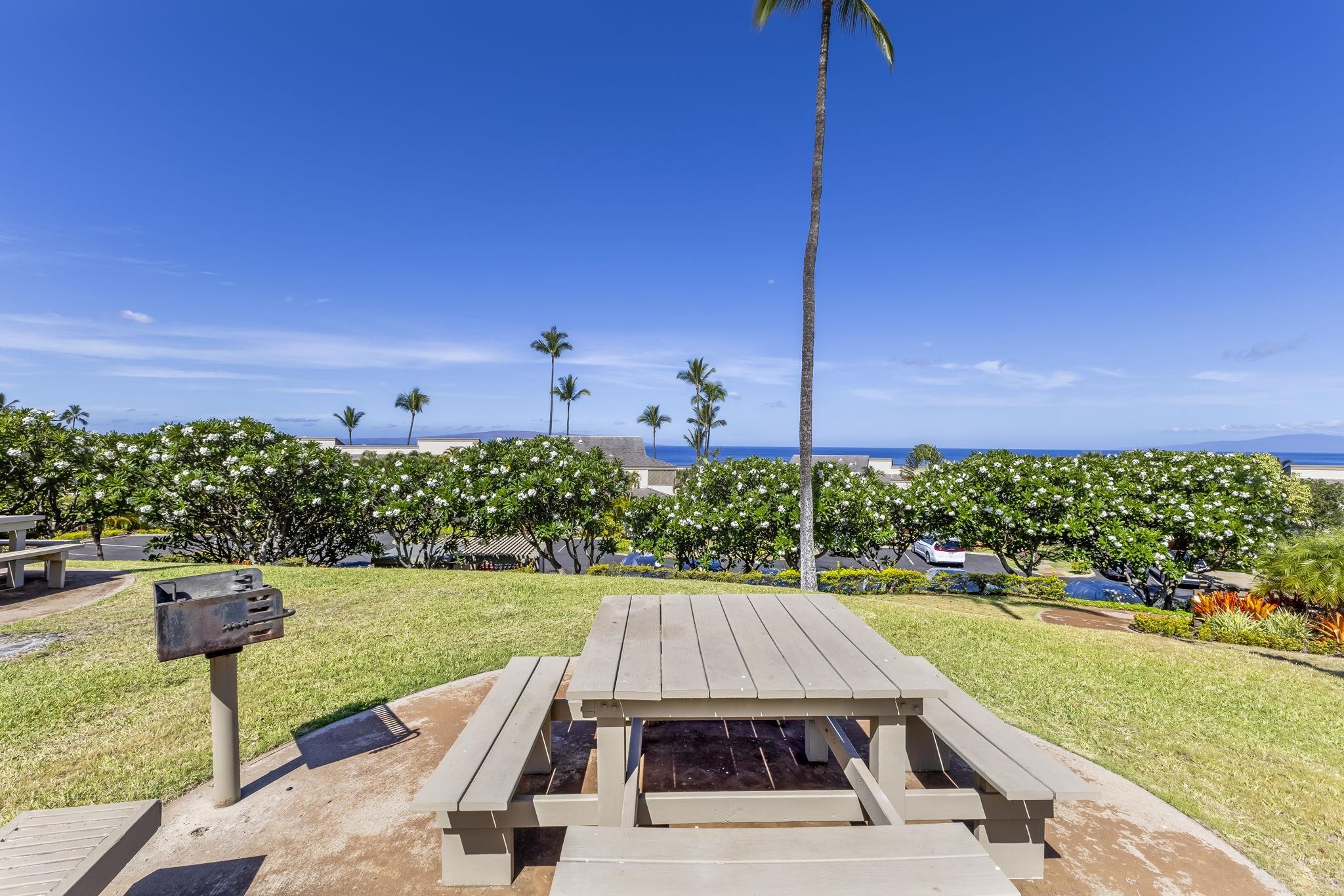 Wailea Ekolu condo # 203, Kihei, Hawaii - photo 36 of 50