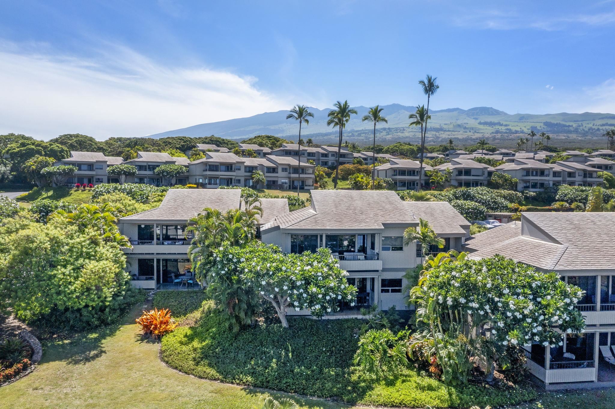 Wailea Ekolu condo # 203, Kihei, Hawaii - photo 37 of 50