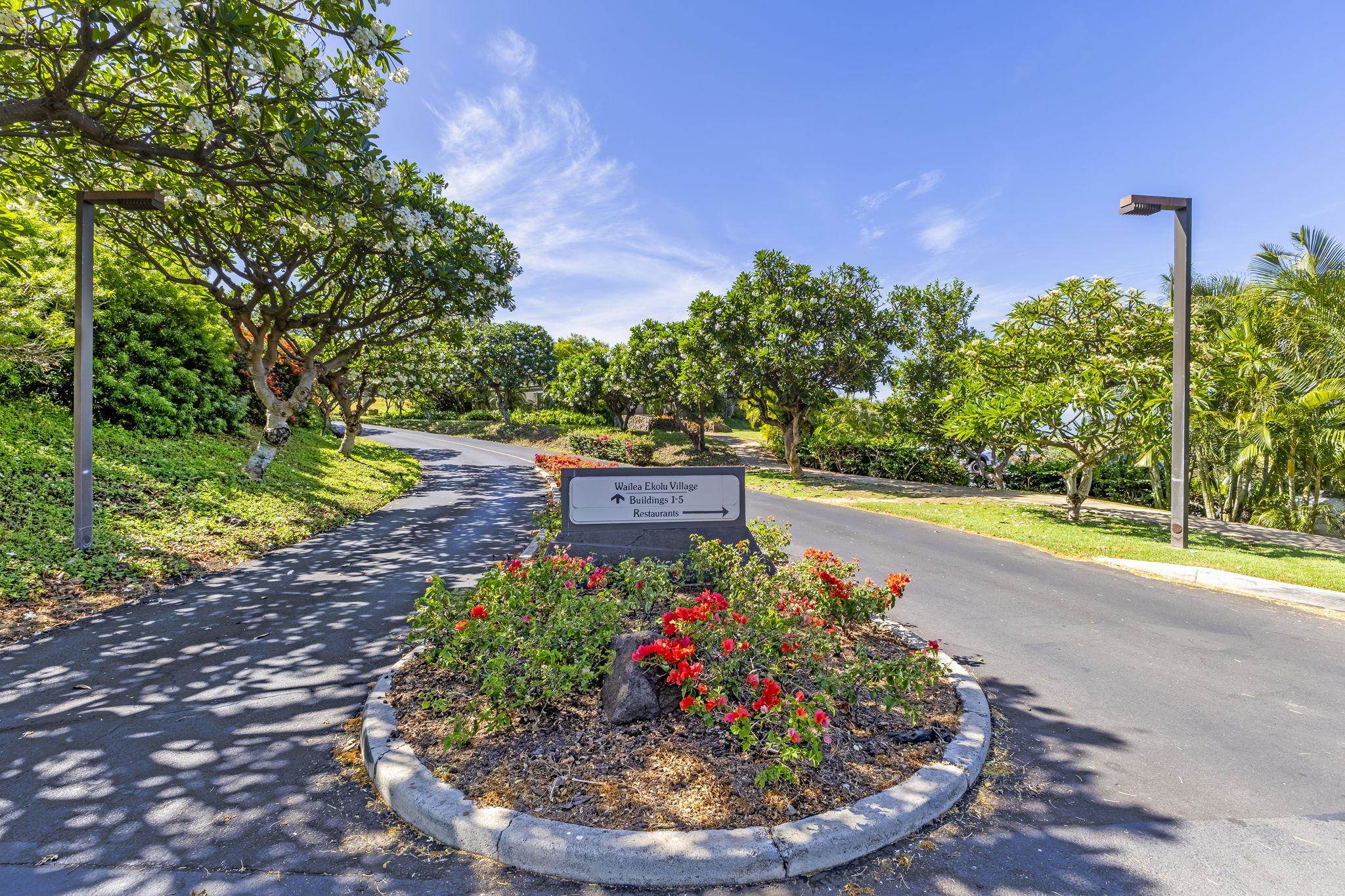 Wailea Ekolu condo # 203, Kihei, Hawaii - photo 38 of 50