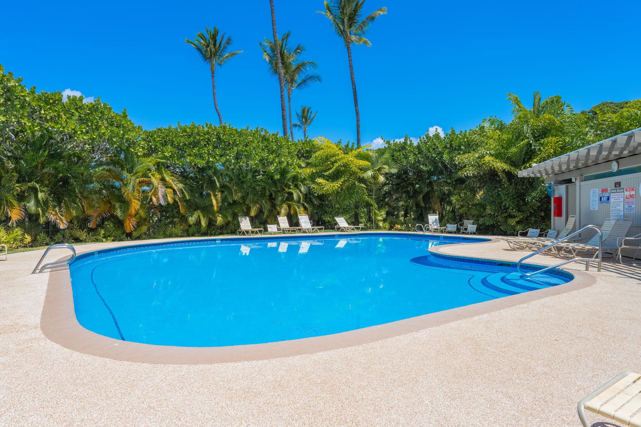 Wailea Ekolu condo # 203, Kihei, Hawaii - photo 42 of 50