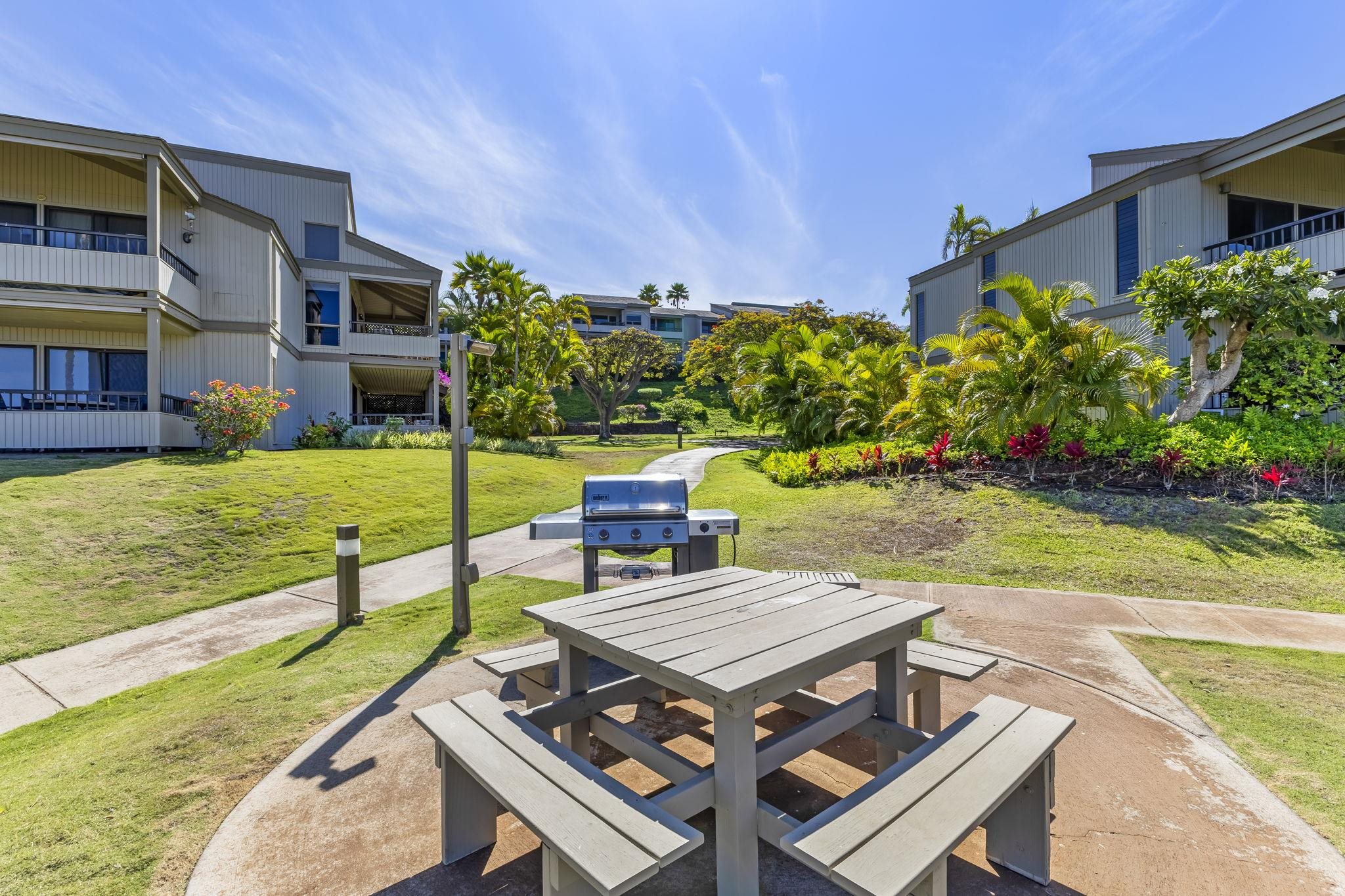 Wailea Ekolu condo # 203, Kihei, Hawaii - photo 43 of 50