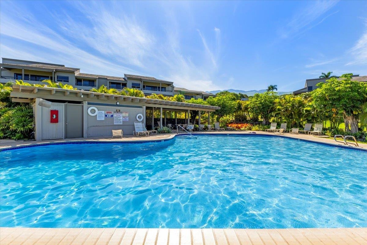 Wailea Ekolu condo # 203, Kihei, Hawaii - photo 43 of 49