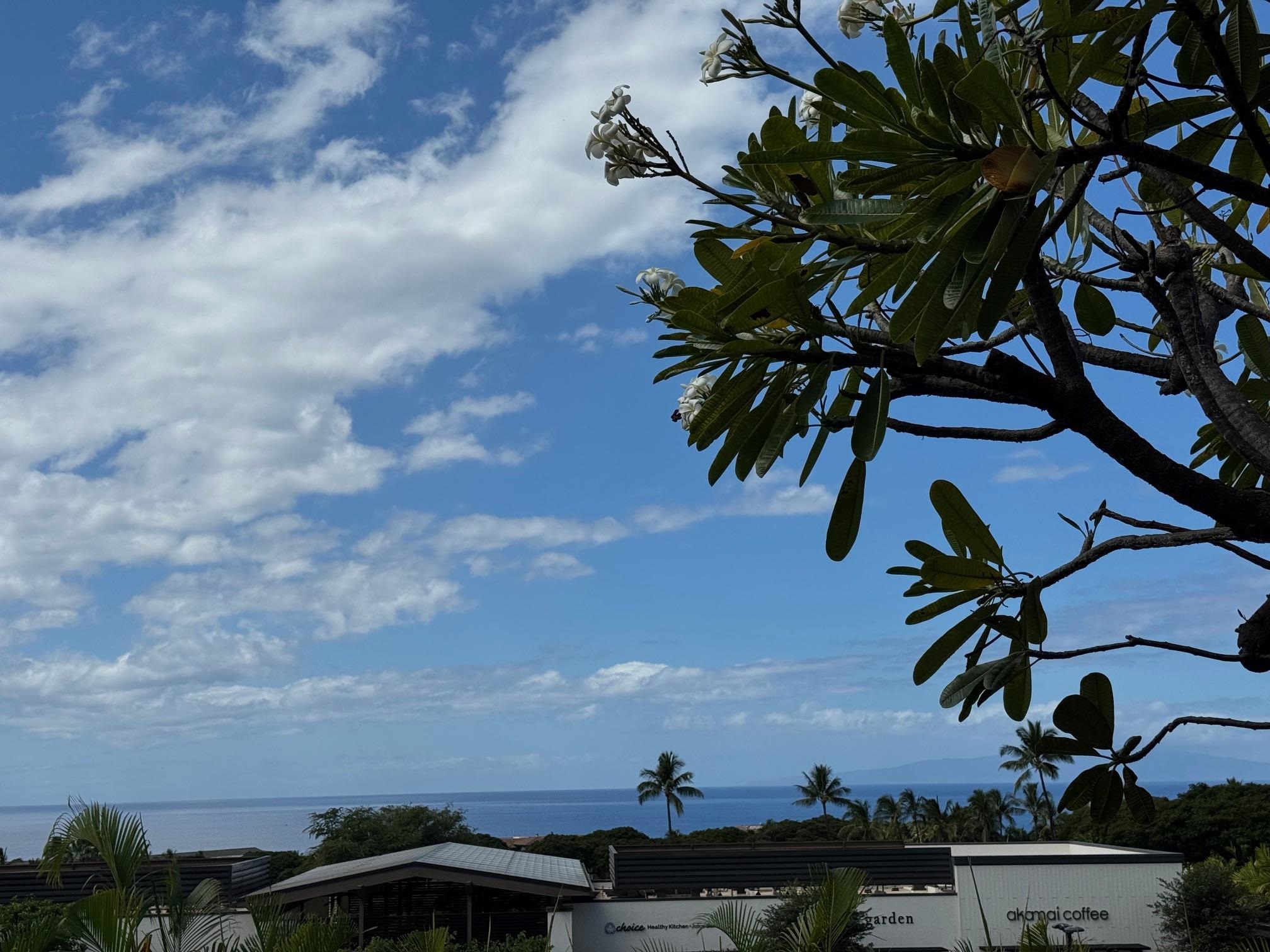 Wailea Ekolu condo # 203, Kihei, Hawaii - photo 7 of 49