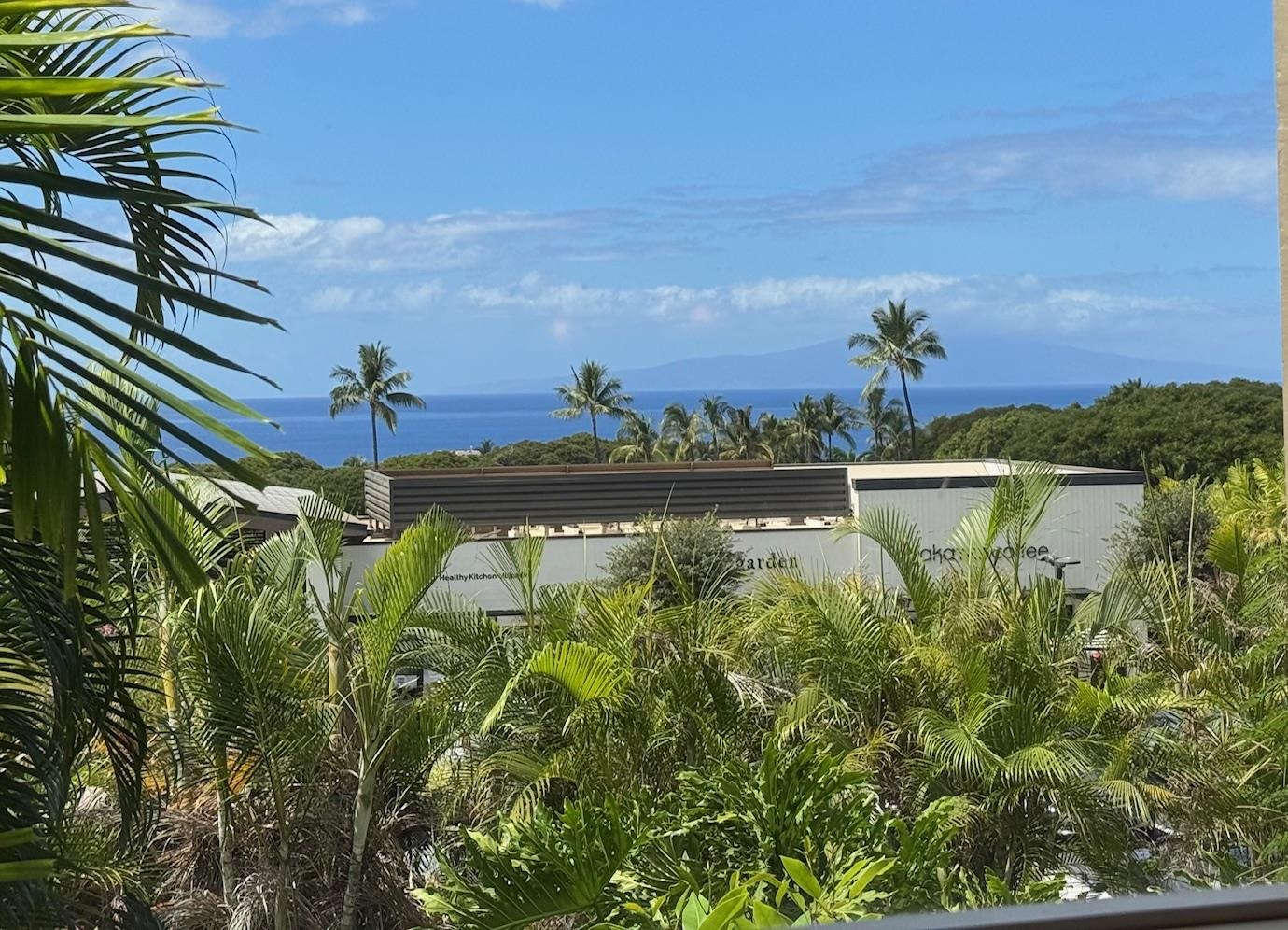 Wailea Ekolu condo # 203, Kihei, Hawaii - photo 8 of 49