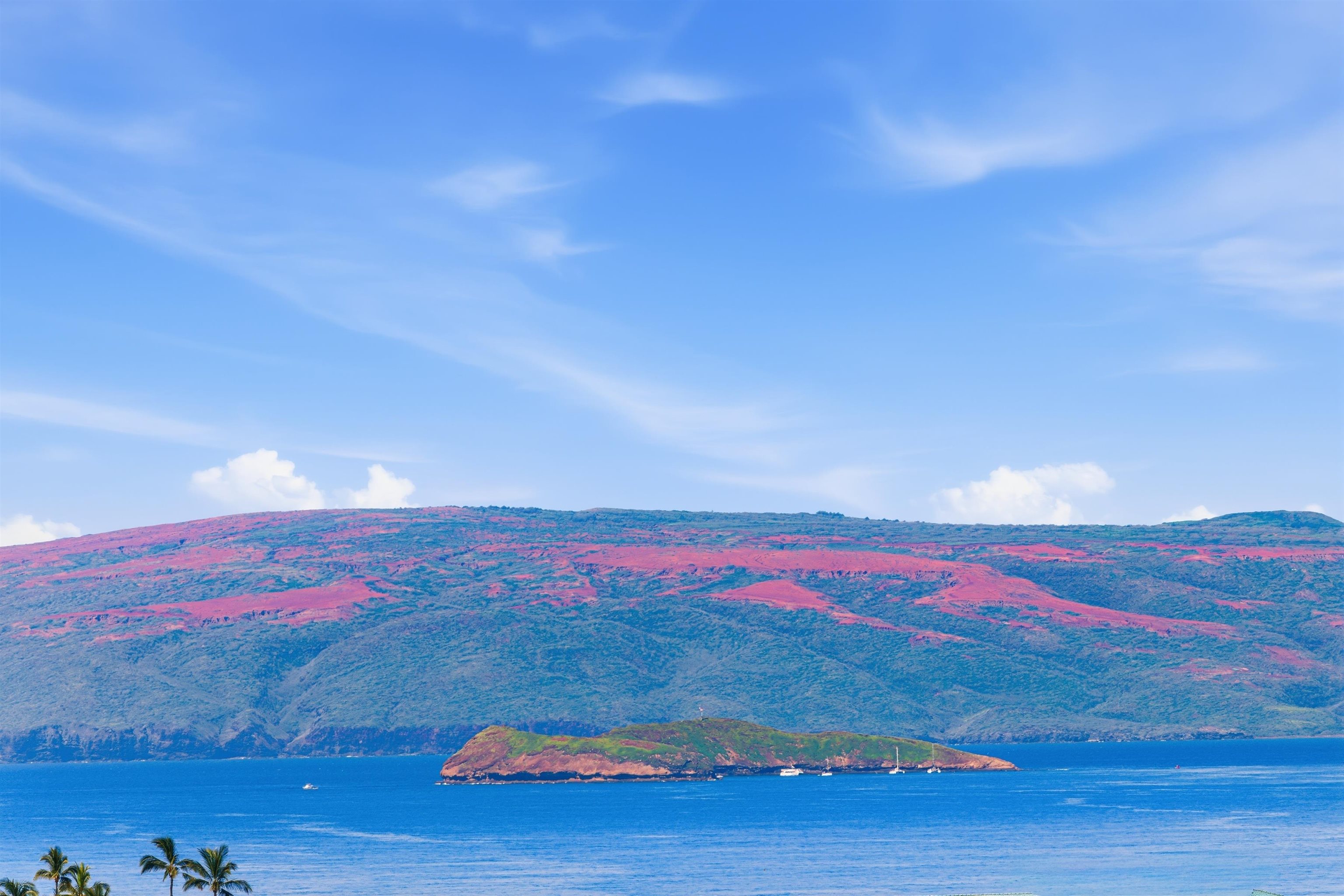 Wailea Ekolu condo # 308, Kihei, Hawaii - photo 15 of 49