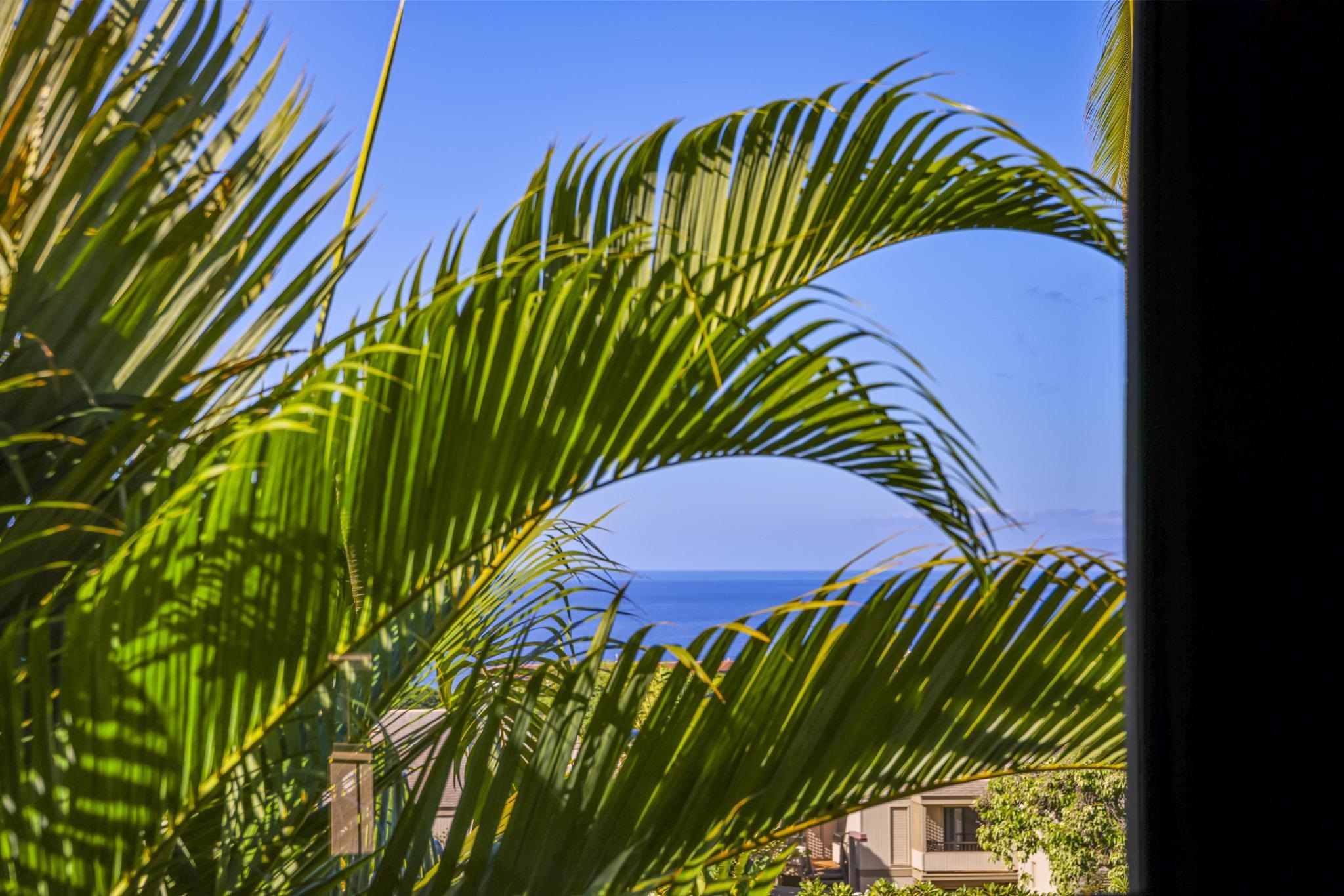 Wailea Ekolu condo # 402, Kihei, Hawaii - photo 26 of 49