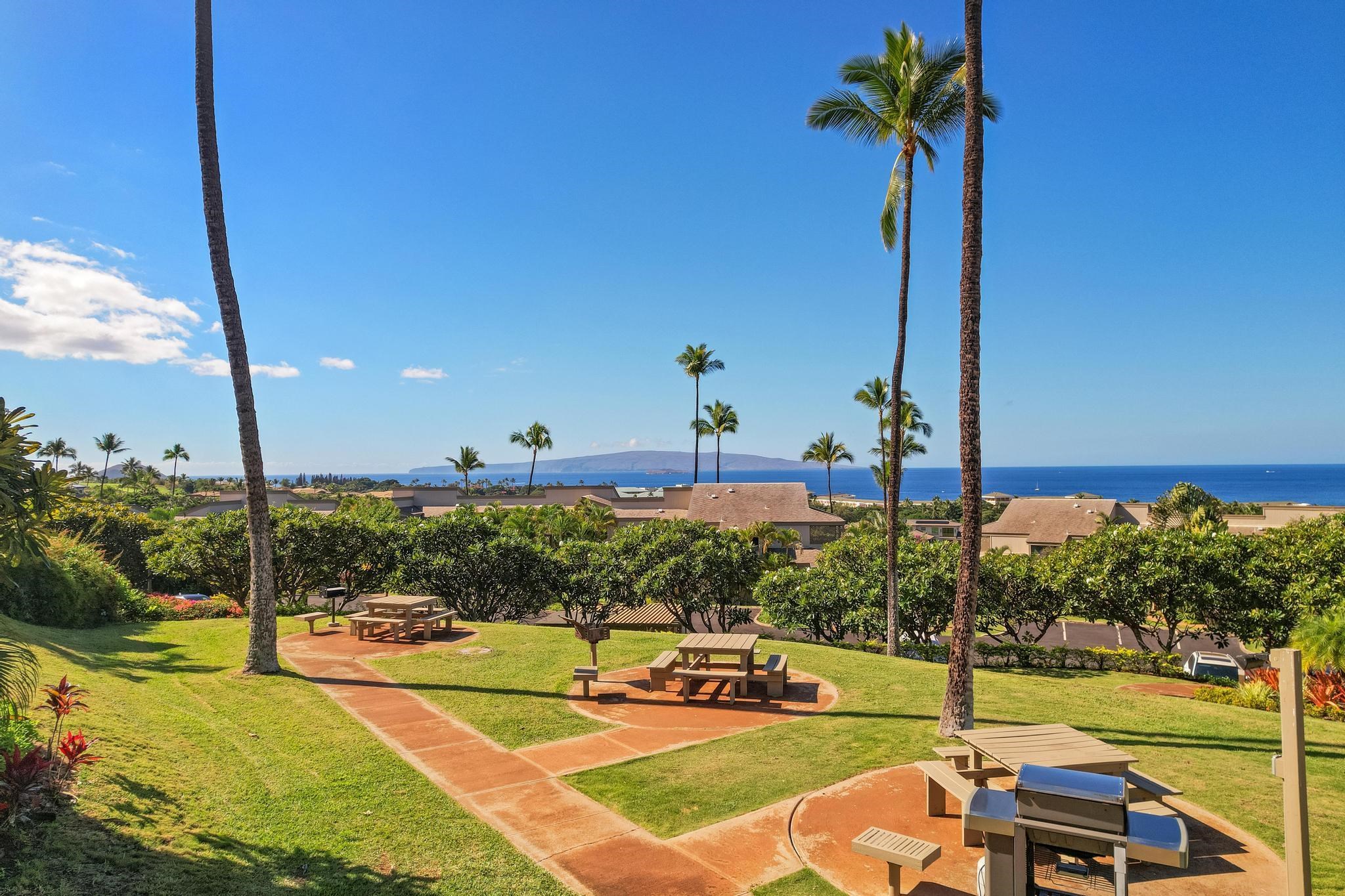 Wailea Ekolu condo # 402, Kihei, Hawaii - photo 41 of 49