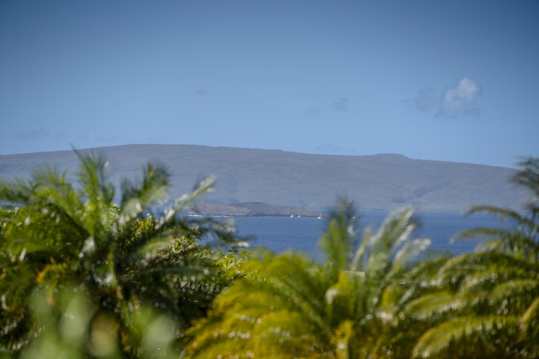 Wailea Ekolu condo # 404, Kihei, Hawaii - photo 21 of 50