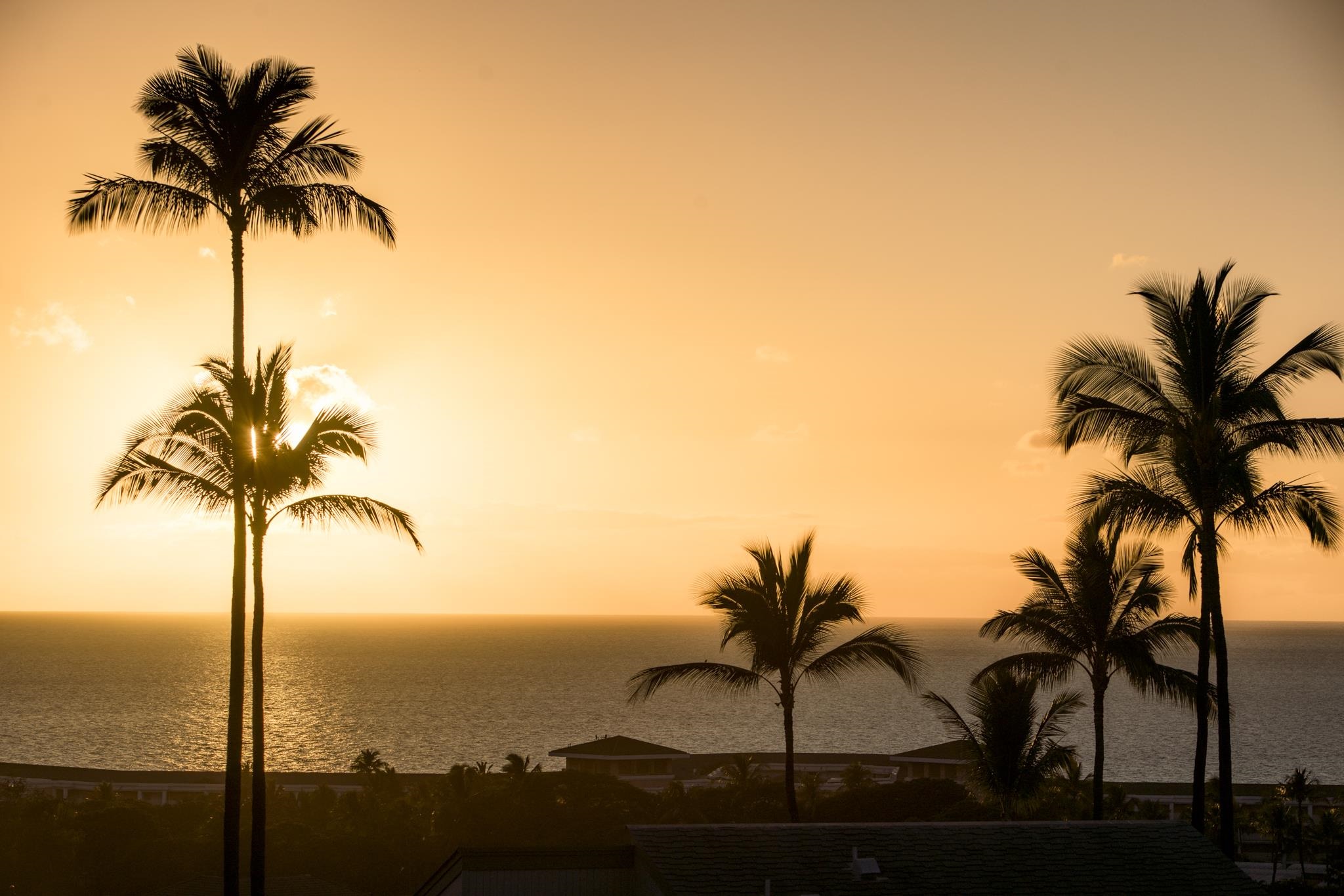 Wailea Ekolu condo # 404, Kihei, Hawaii - photo 23 of 50