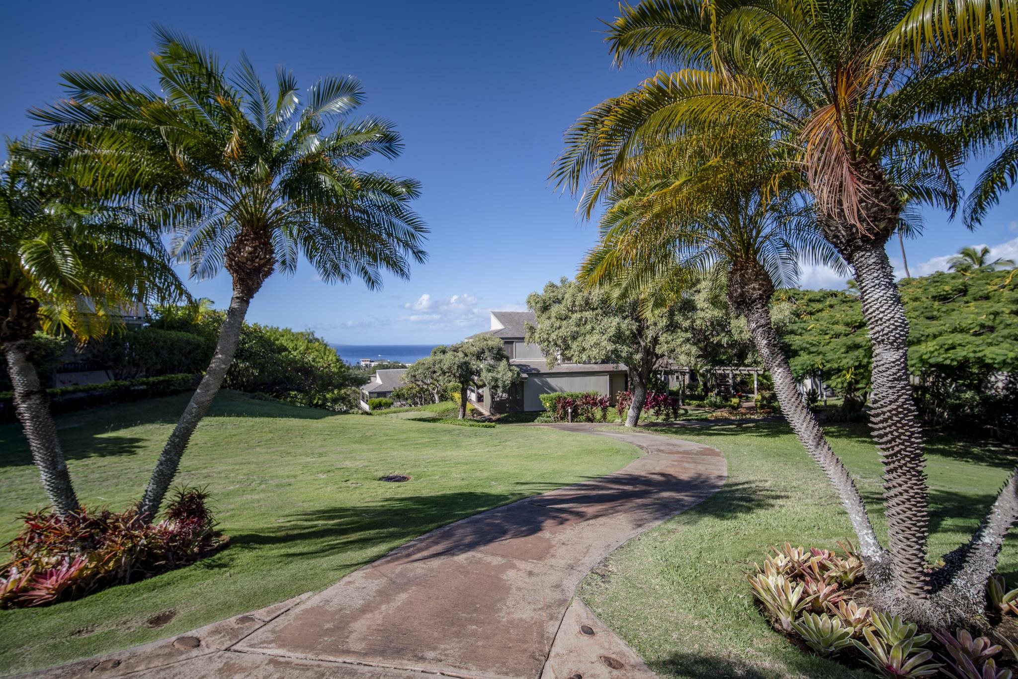 Wailea Ekolu condo # 404, Kihei, Hawaii - photo 41 of 50