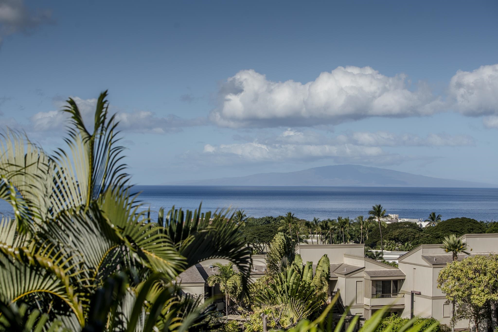 Wailea Ekolu condo # 404, Kihei, Hawaii - photo 49 of 50