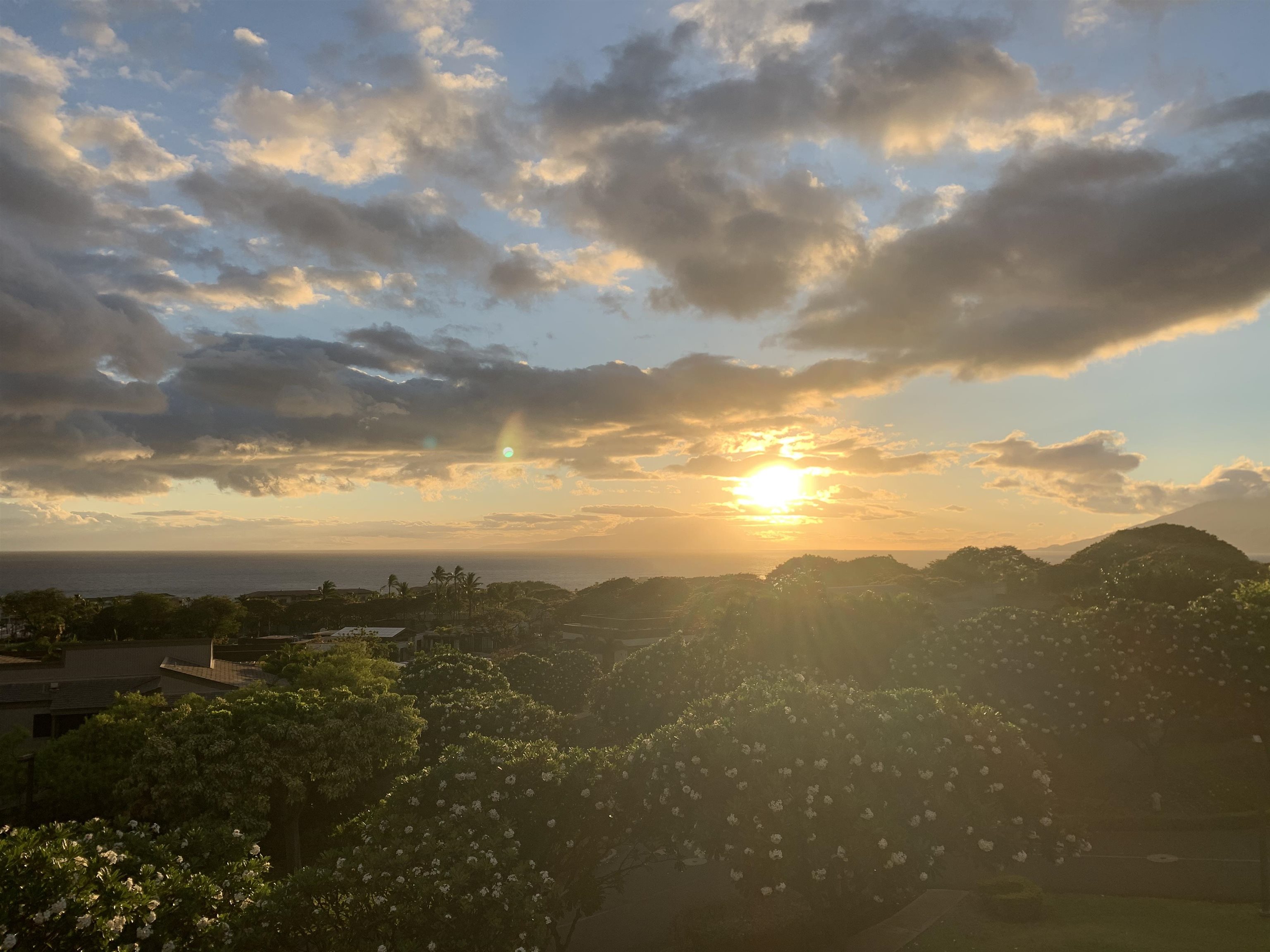 Wailea Ekolu condo # 506, Kihei, Hawaii - photo 11 of 29