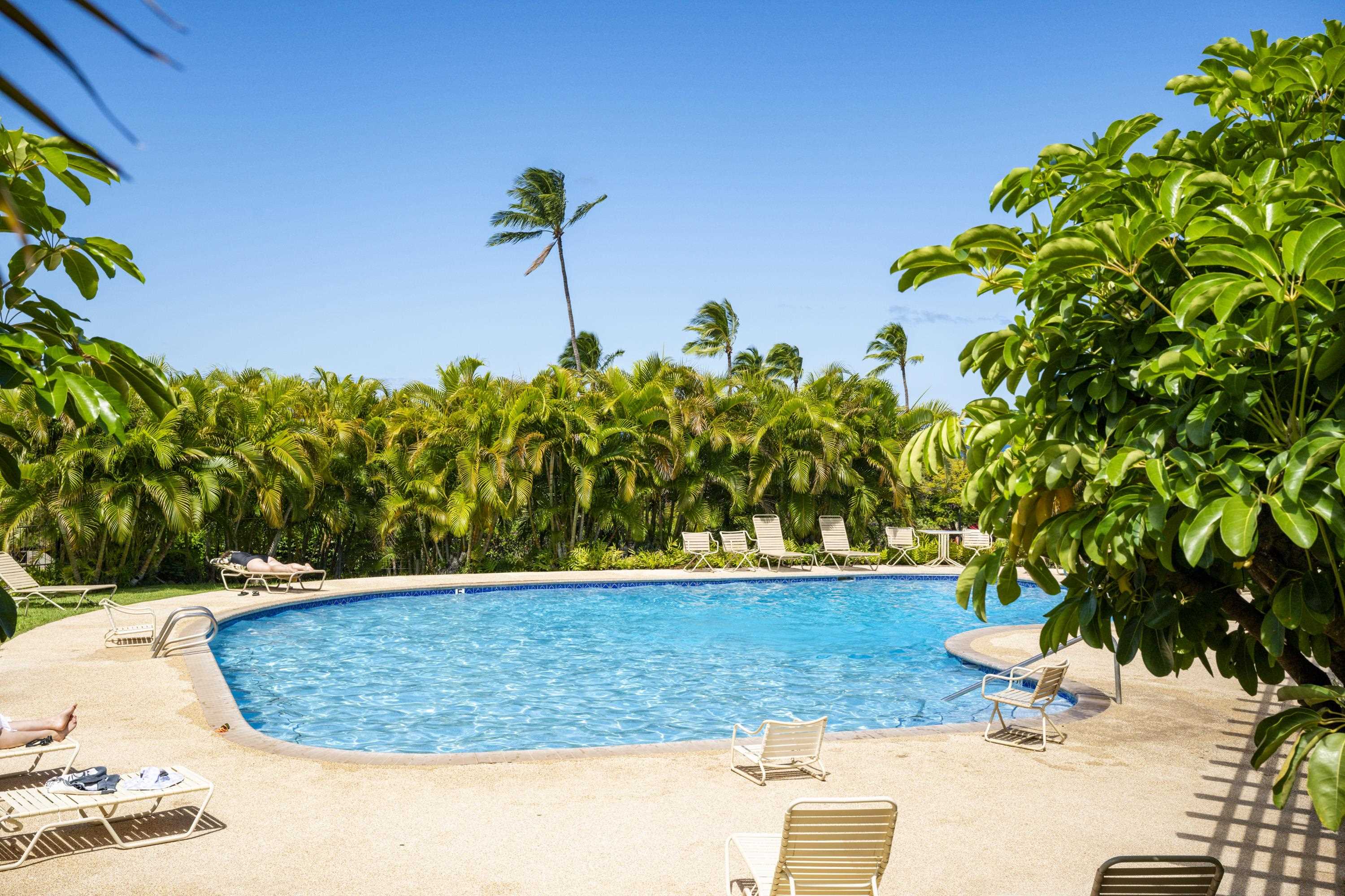 Wailea Ekolu condo # 506, Kihei, Hawaii - photo 22 of 29