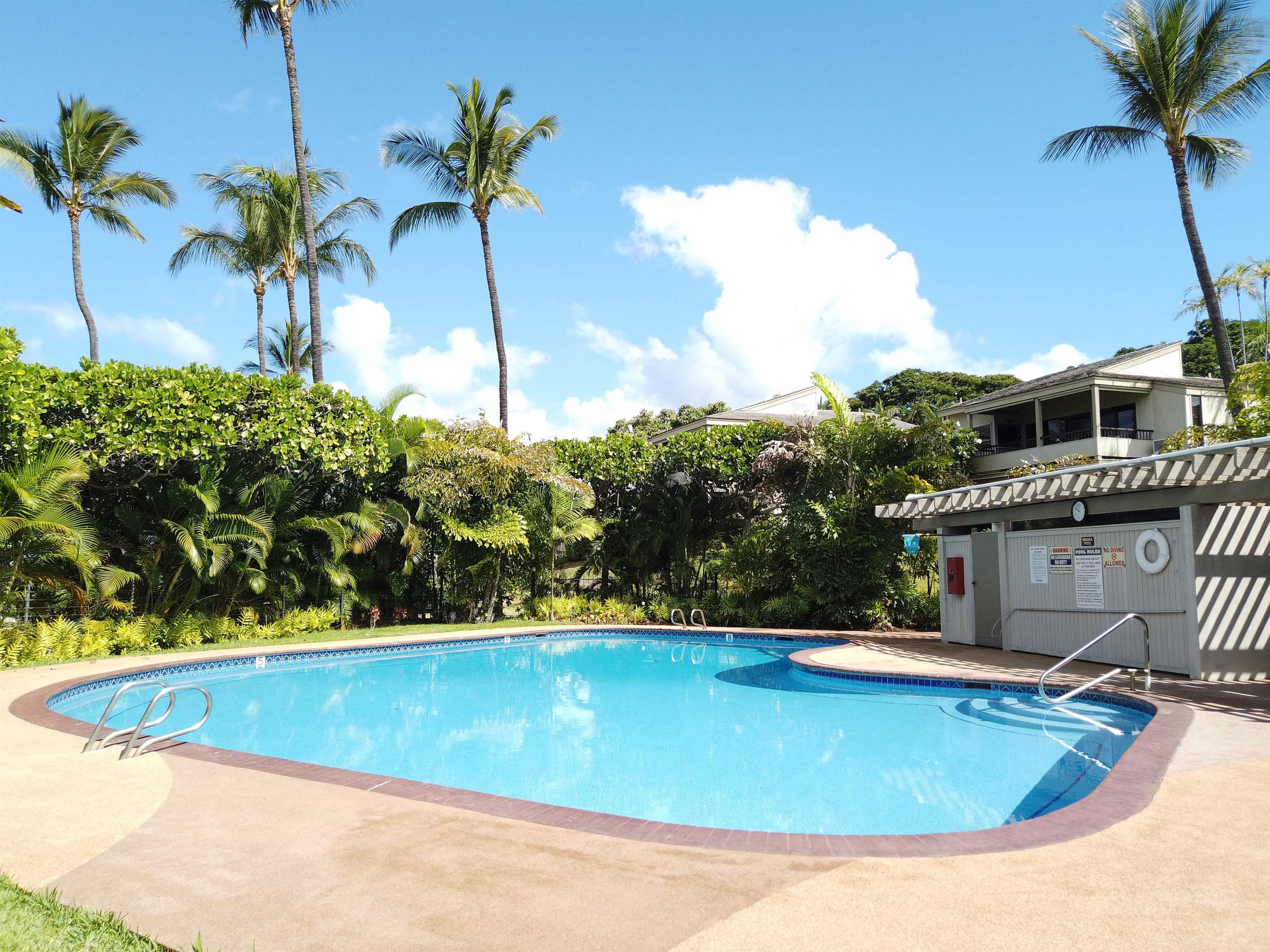 Wailea Ekolu condo # 909, Kihei, Hawaii - photo 27 of 30