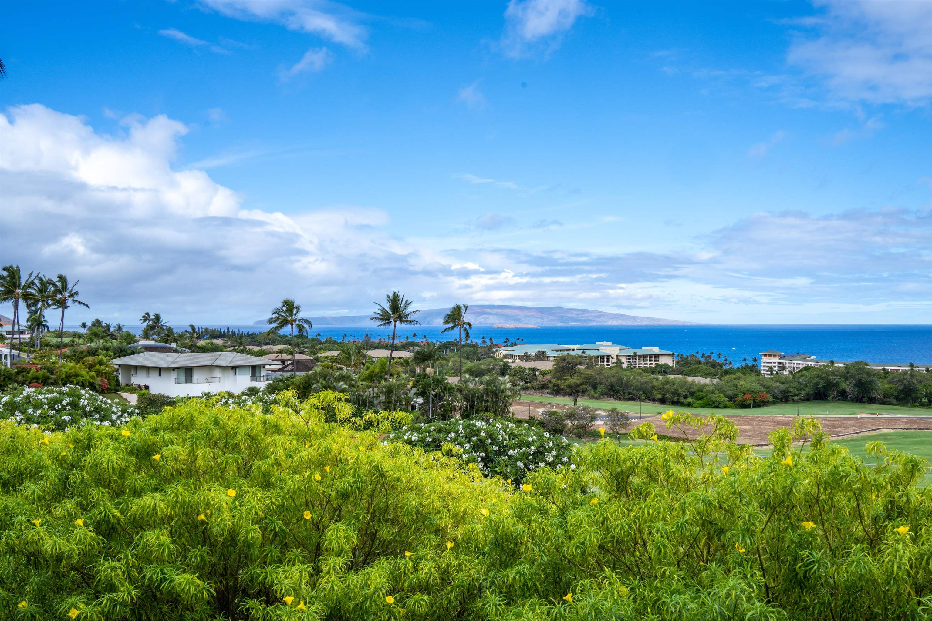 Wailea Ekolu condo # 909, Kihei, Hawaii - photo 29 of 30