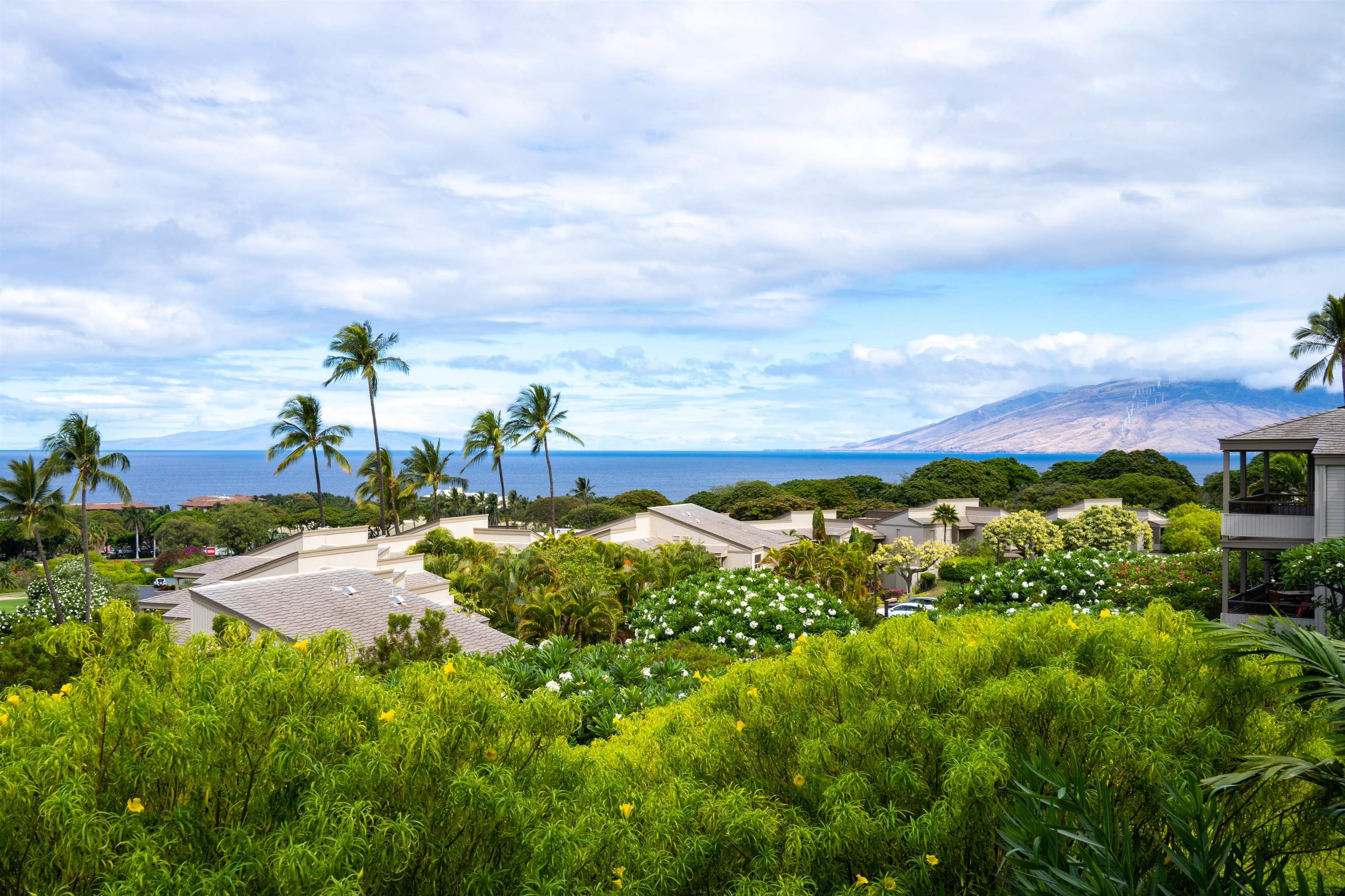 Wailea Ekolu condo # 909, Kihei, Hawaii - photo 30 of 30