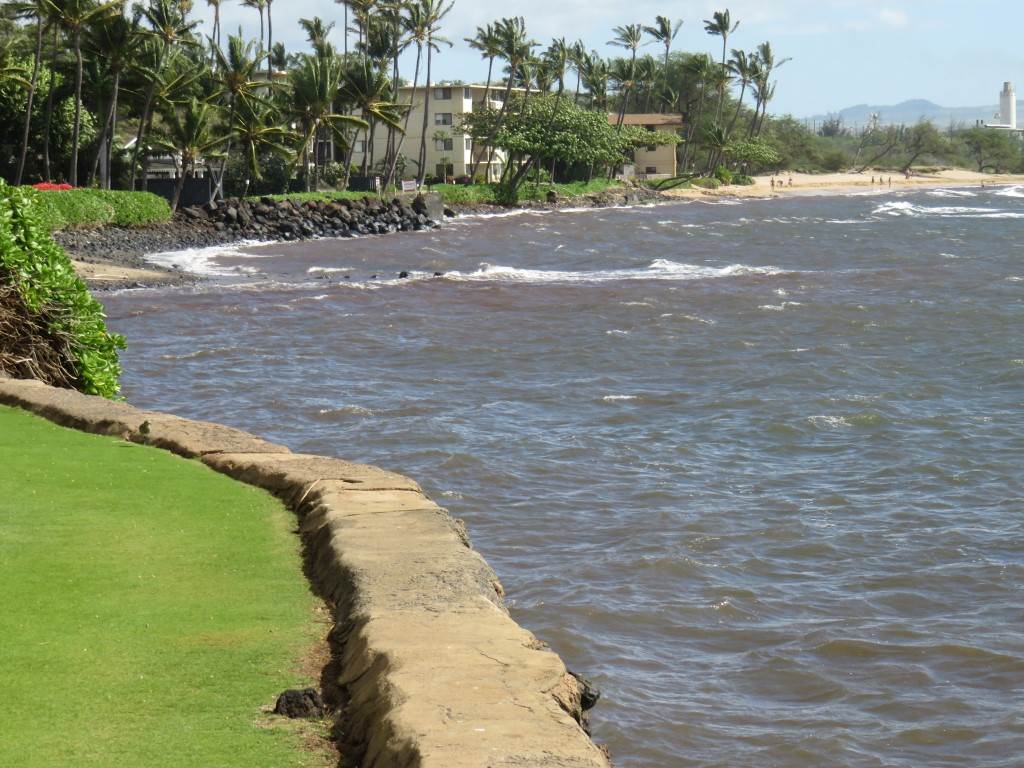 Lauloa condo # 109, Wailuku, Hawaii - photo 28 of 30