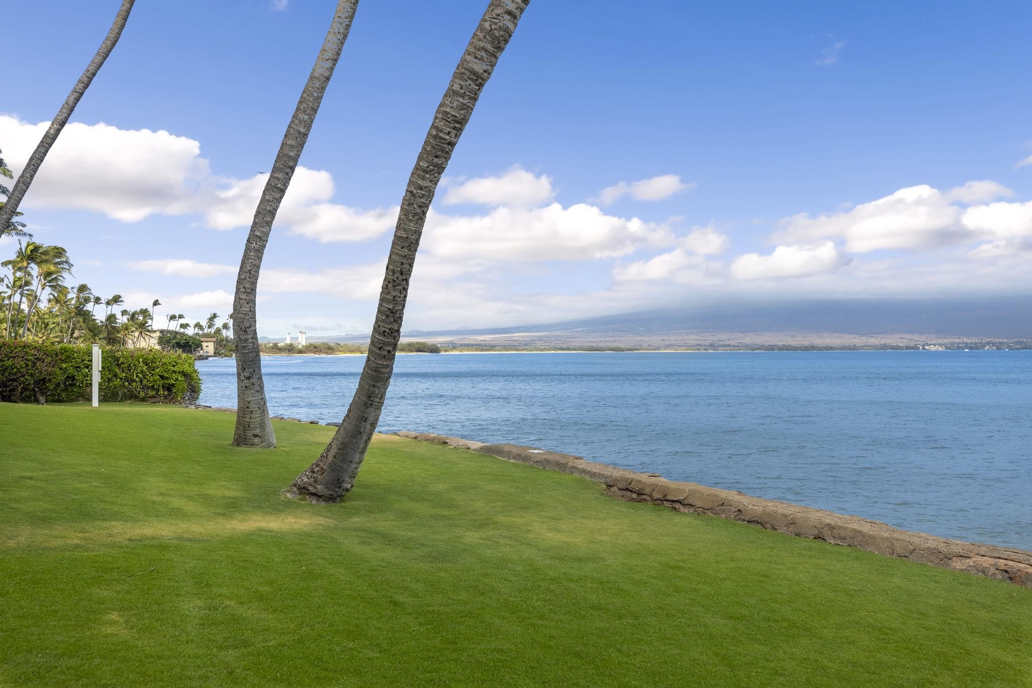 Lauloa condo # 110, Wailuku, Hawaii - photo 31 of 42