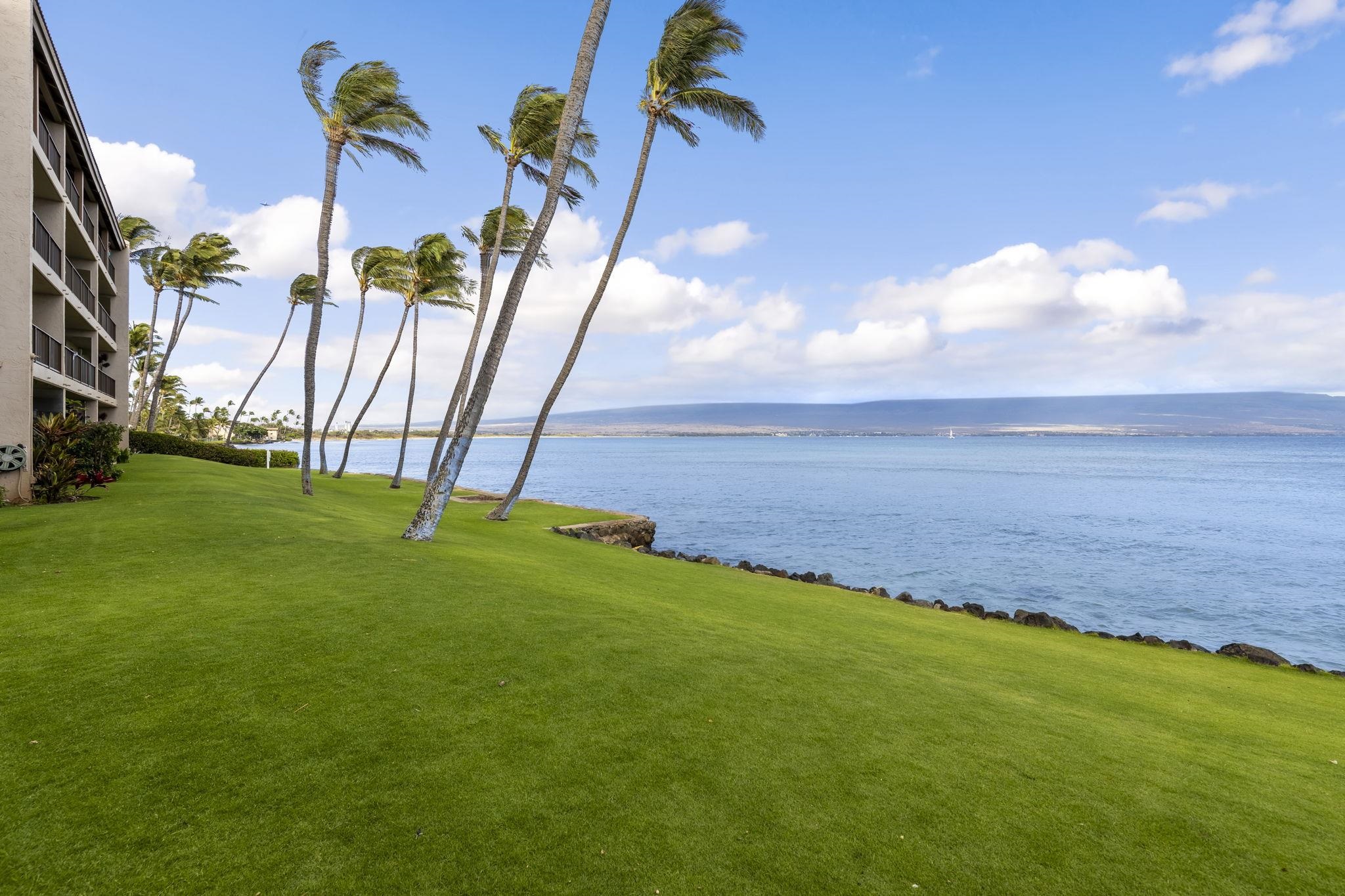 Lauloa condo # 110, Wailuku, Hawaii - photo 32 of 42