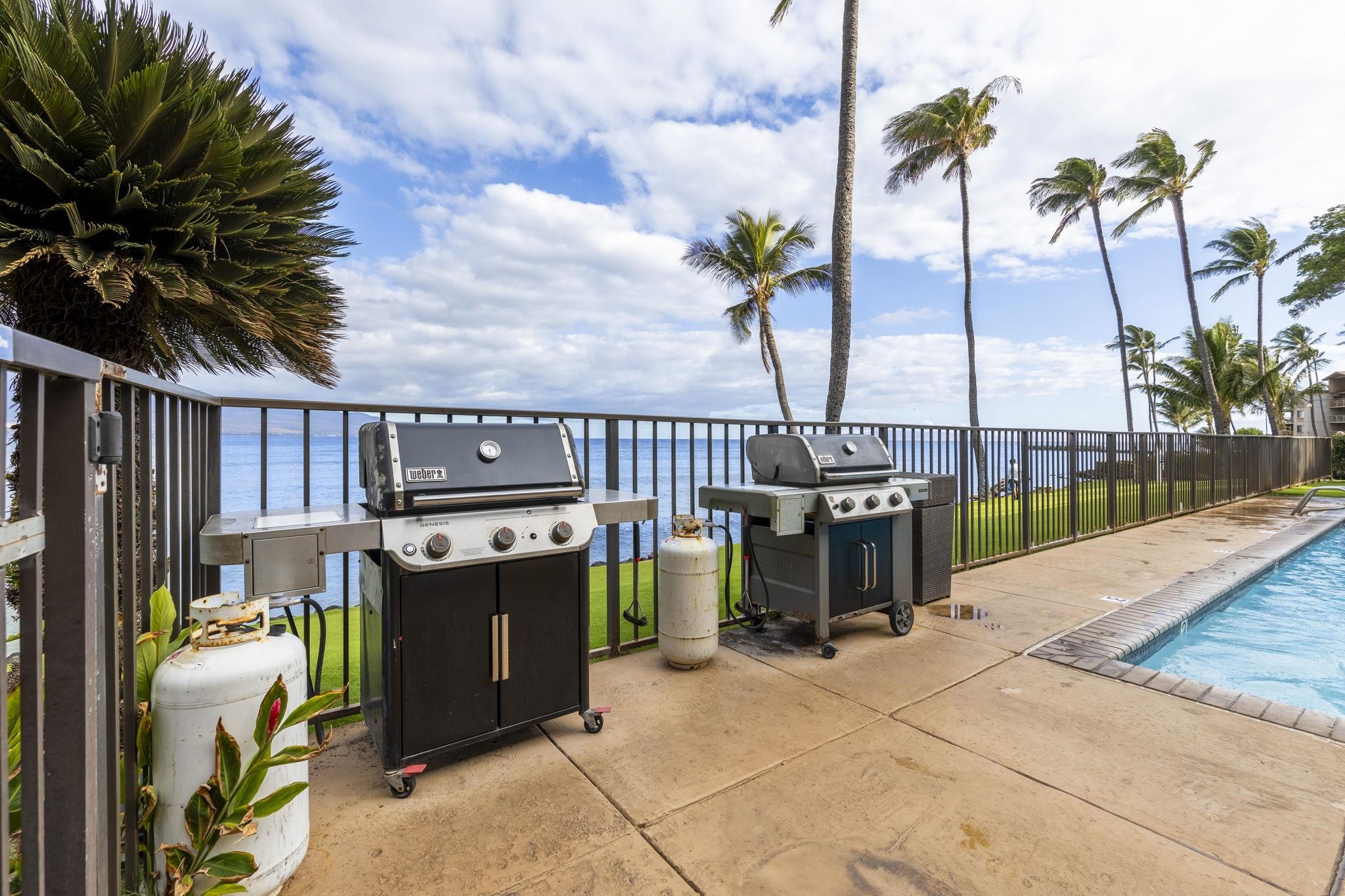 Lauloa condo # 110, Wailuku, Hawaii - photo 38 of 42