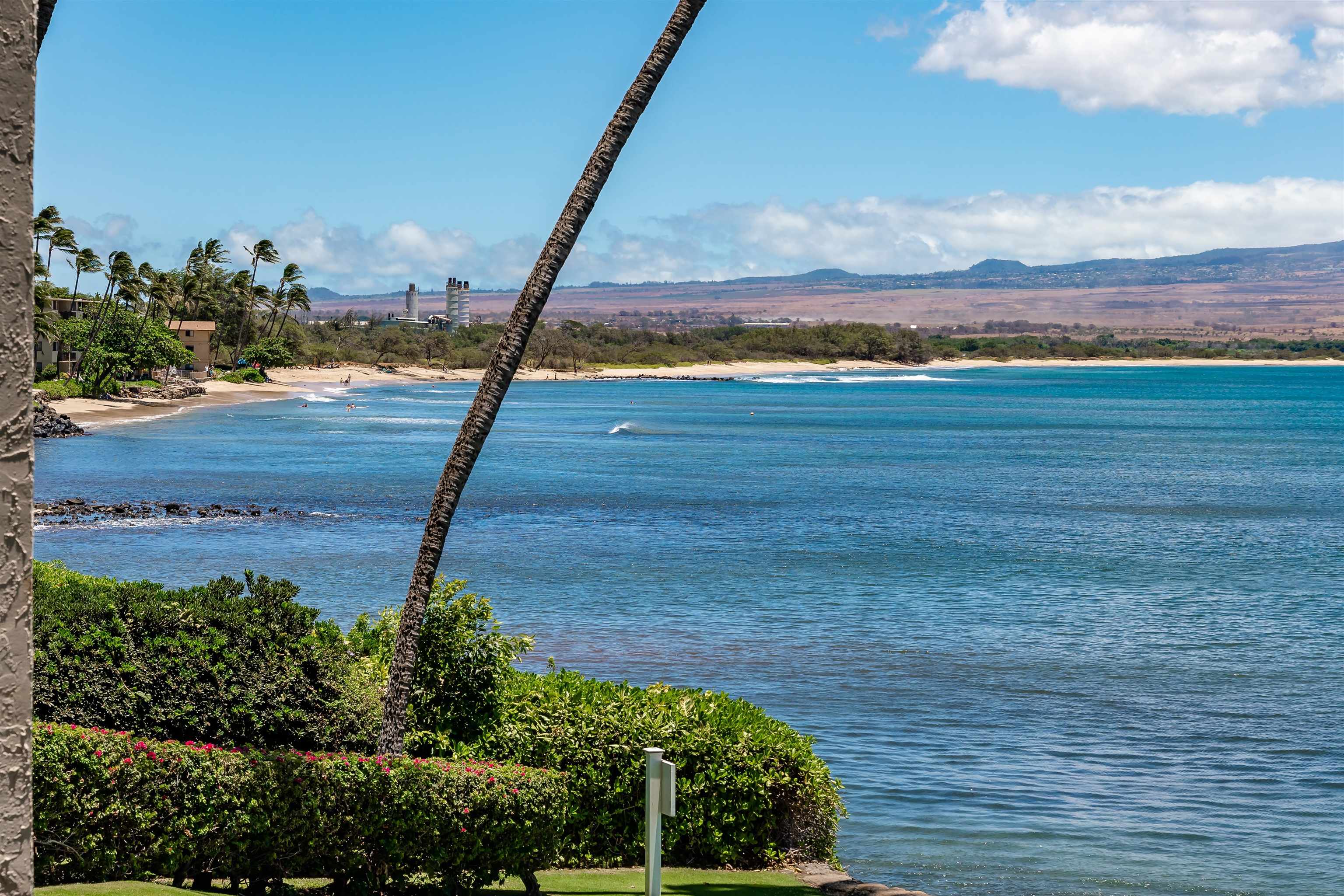 Lauloa condo # 209, Wailuku, Hawaii - photo 29 of 34