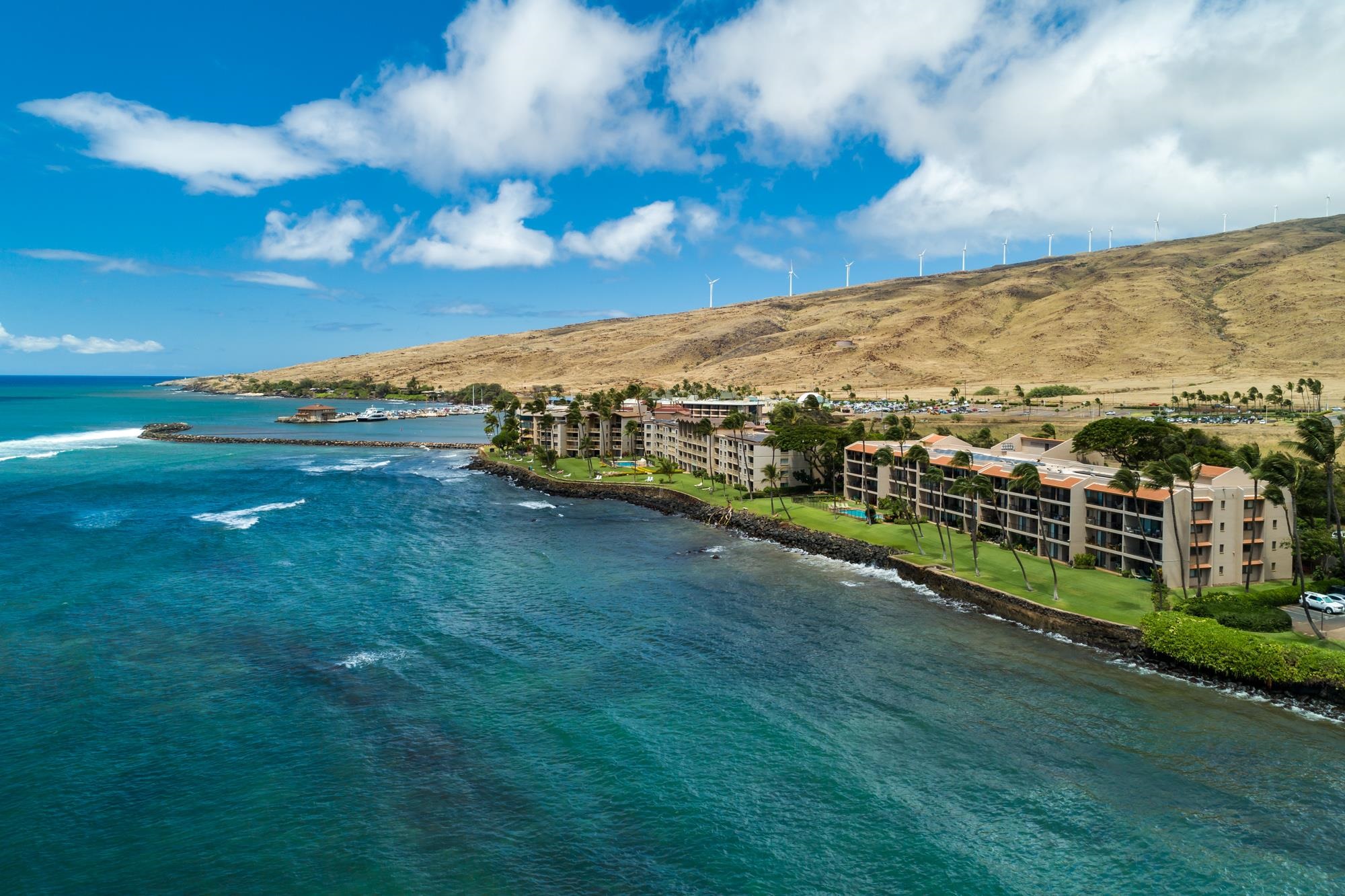 Lauloa condo # 209, Wailuku, Hawaii - photo 34 of 34