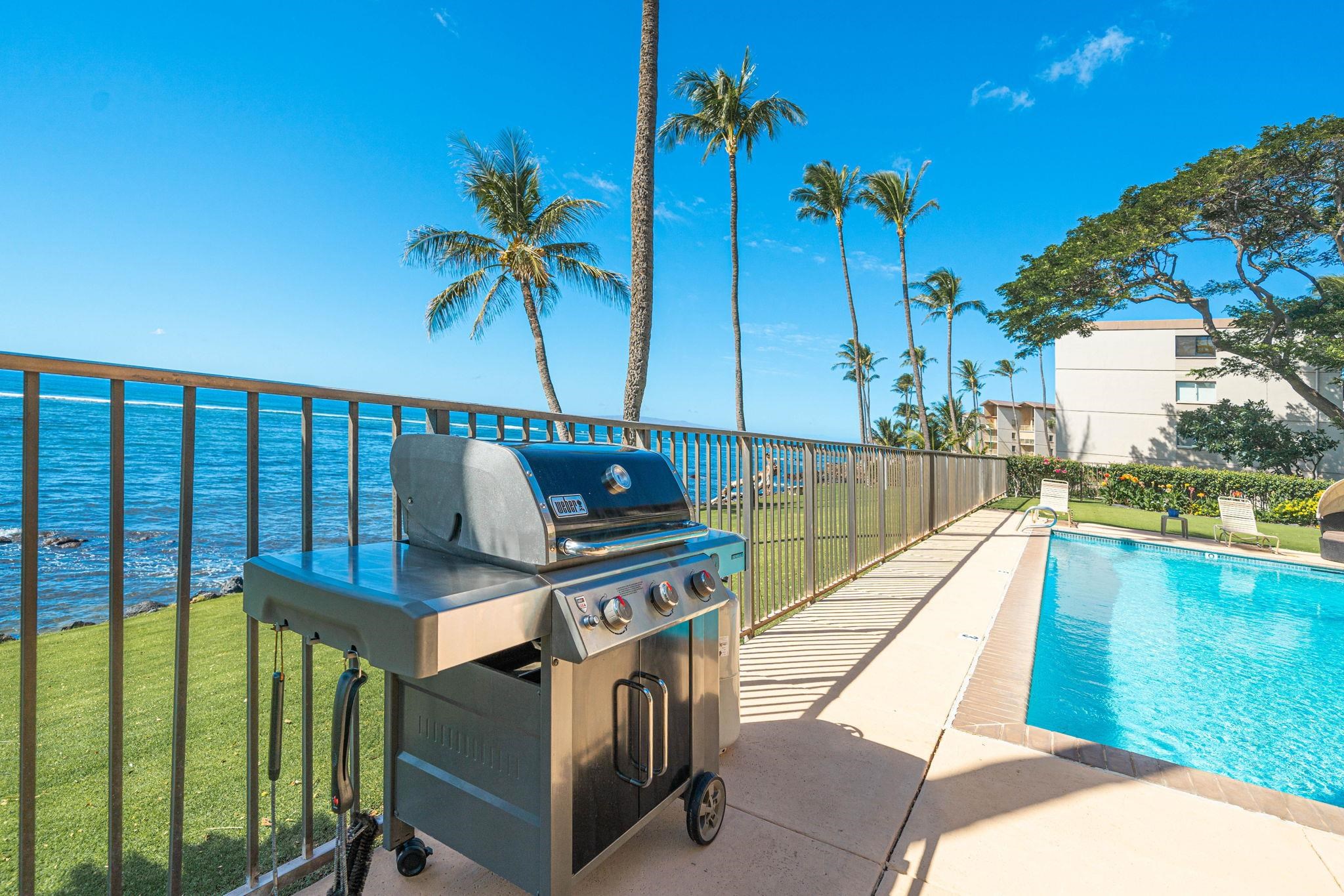 Lauloa condo # 303, Wailuku, Hawaii - photo 30 of 40