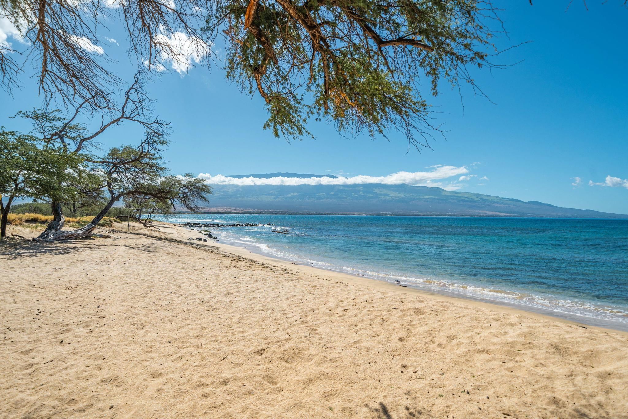 Lauloa condo # 303, Wailuku, Hawaii - photo 38 of 40