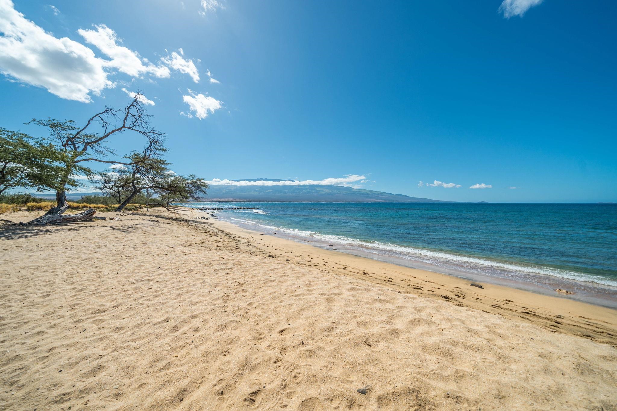 Lauloa condo # 303, Wailuku, Hawaii - photo 40 of 40