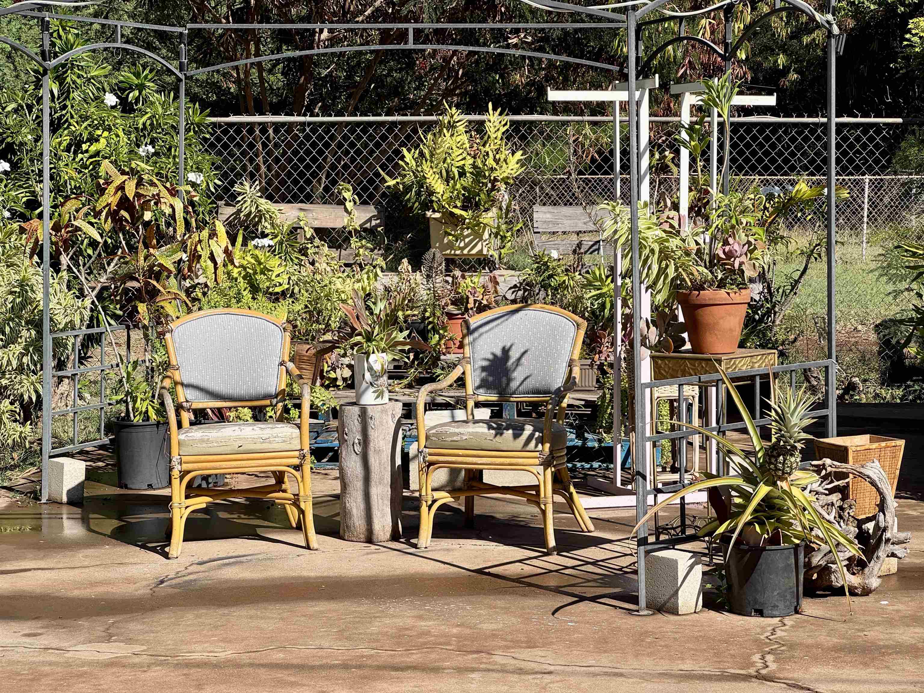 100  Hotel Ln , Molokai home - photo 7 of 39