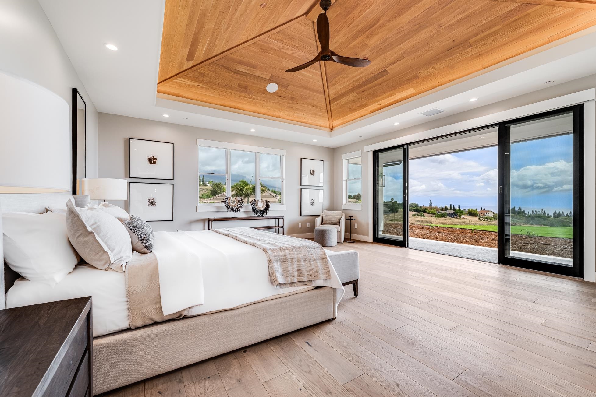 100  Kalelemuku Pl Kula I'o, Kula/Ulupalakua/Kanaio home - photo 24 of 50