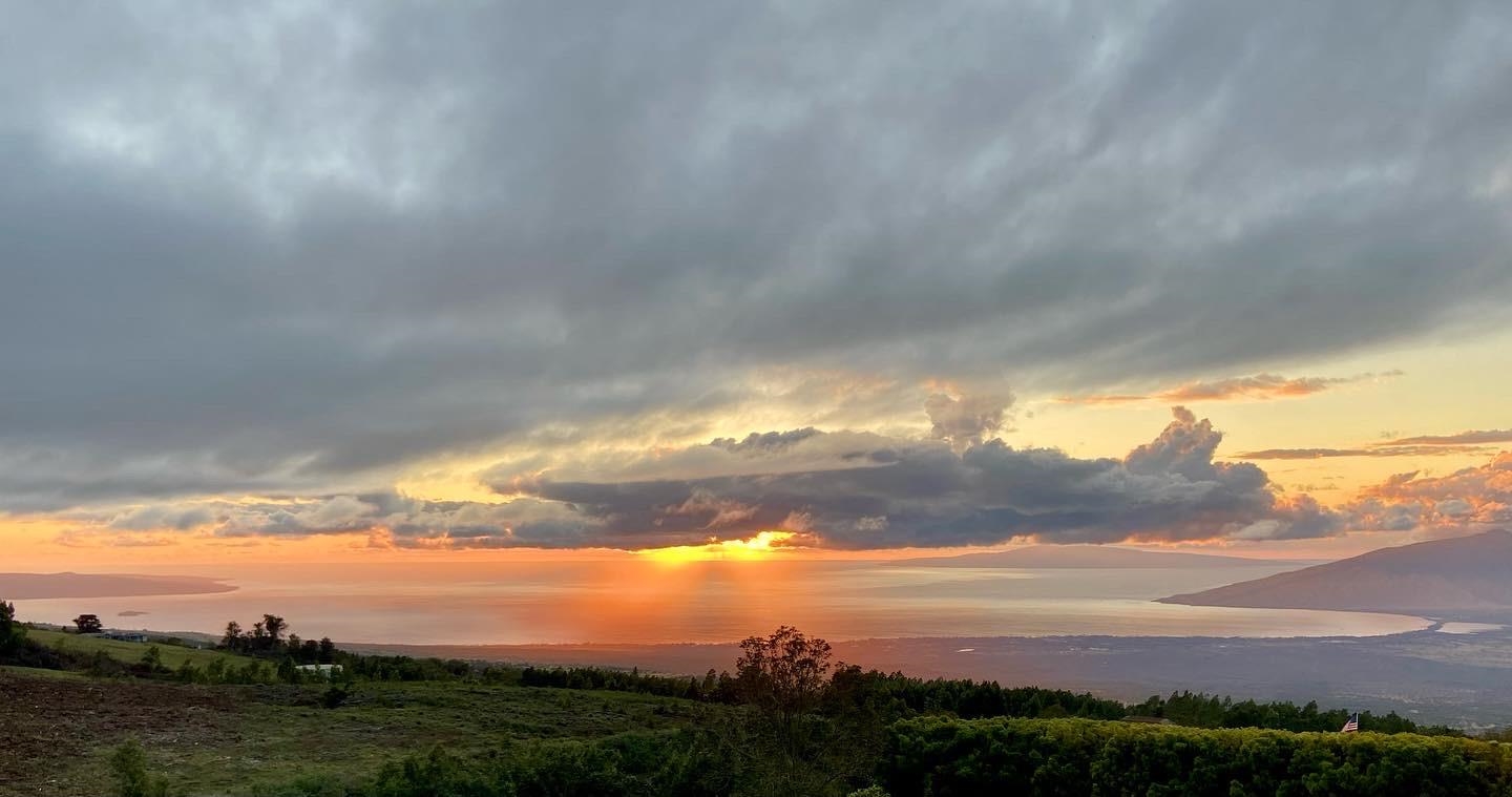 100  Kawehi Pl , Kula/Ulupalakua/Kanaio home - photo 12 of 50