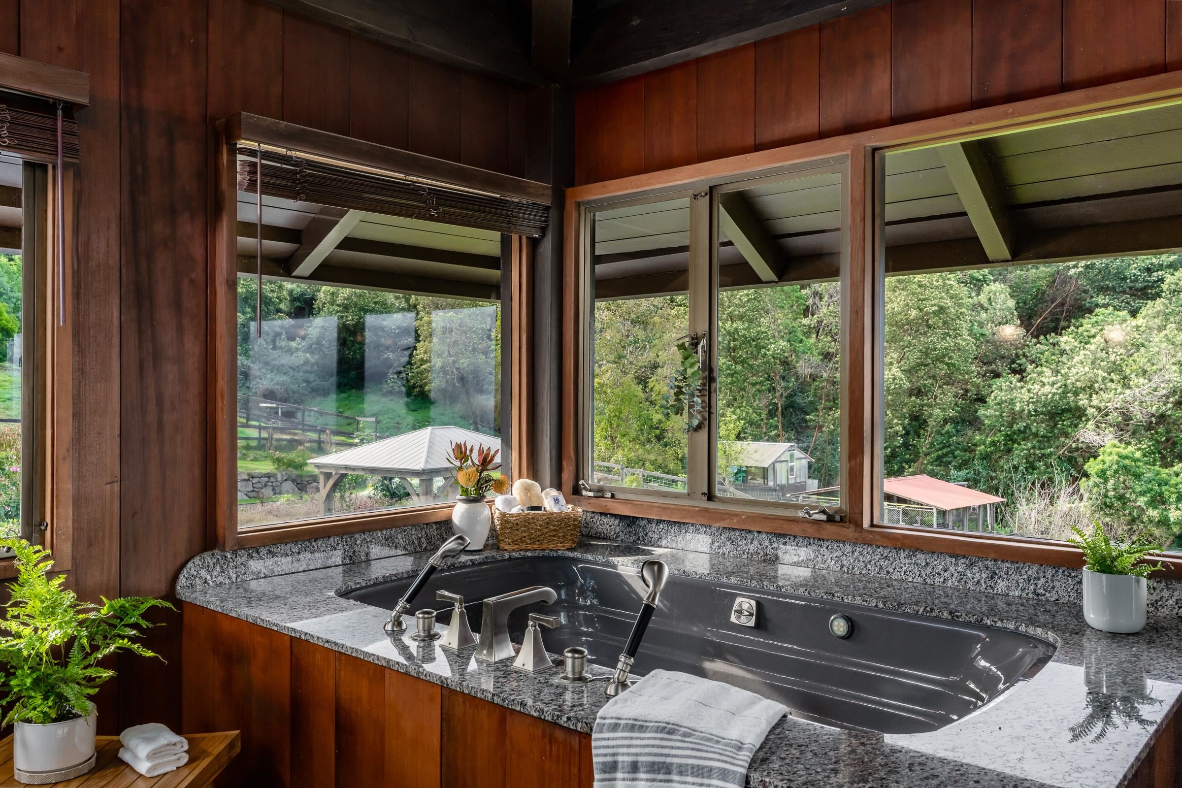 100  Kawehi Pl , Kula/Ulupalakua/Kanaio home - photo 17 of 50