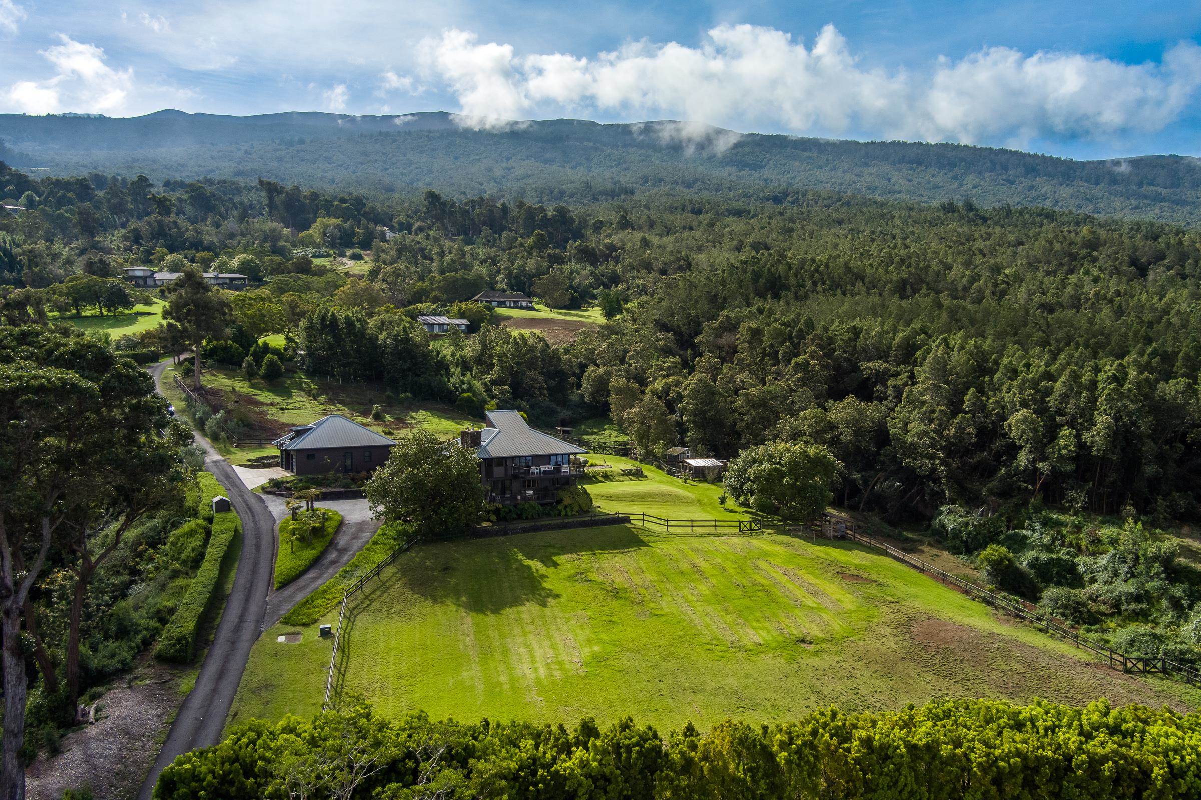 100  Kawehi Pl , Kula/Ulupalakua/Kanaio home - photo 38 of 50