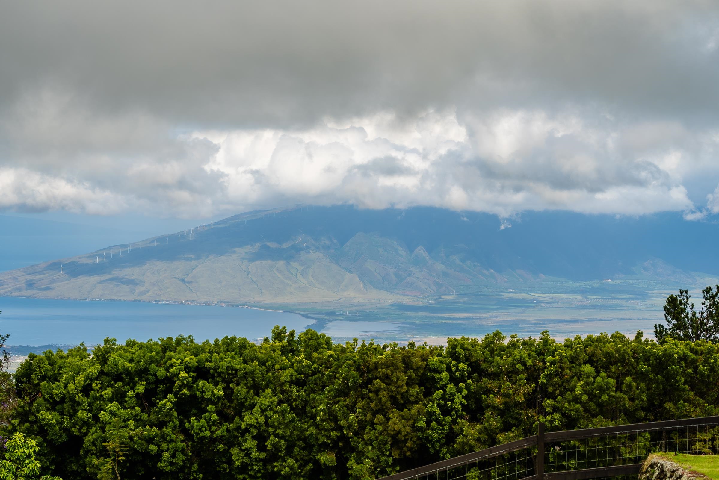 100  Kawehi Pl , Kula/Ulupalakua/Kanaio home - photo 47 of 50