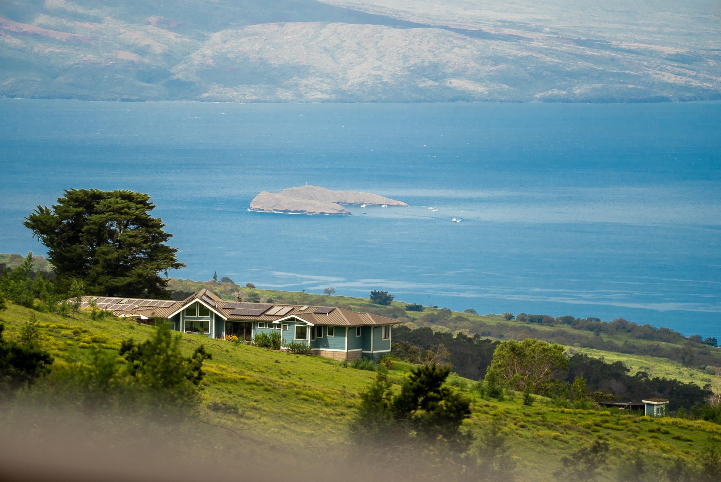 100  Kawehi Pl , Kula/Ulupalakua/Kanaio home - photo 48 of 50