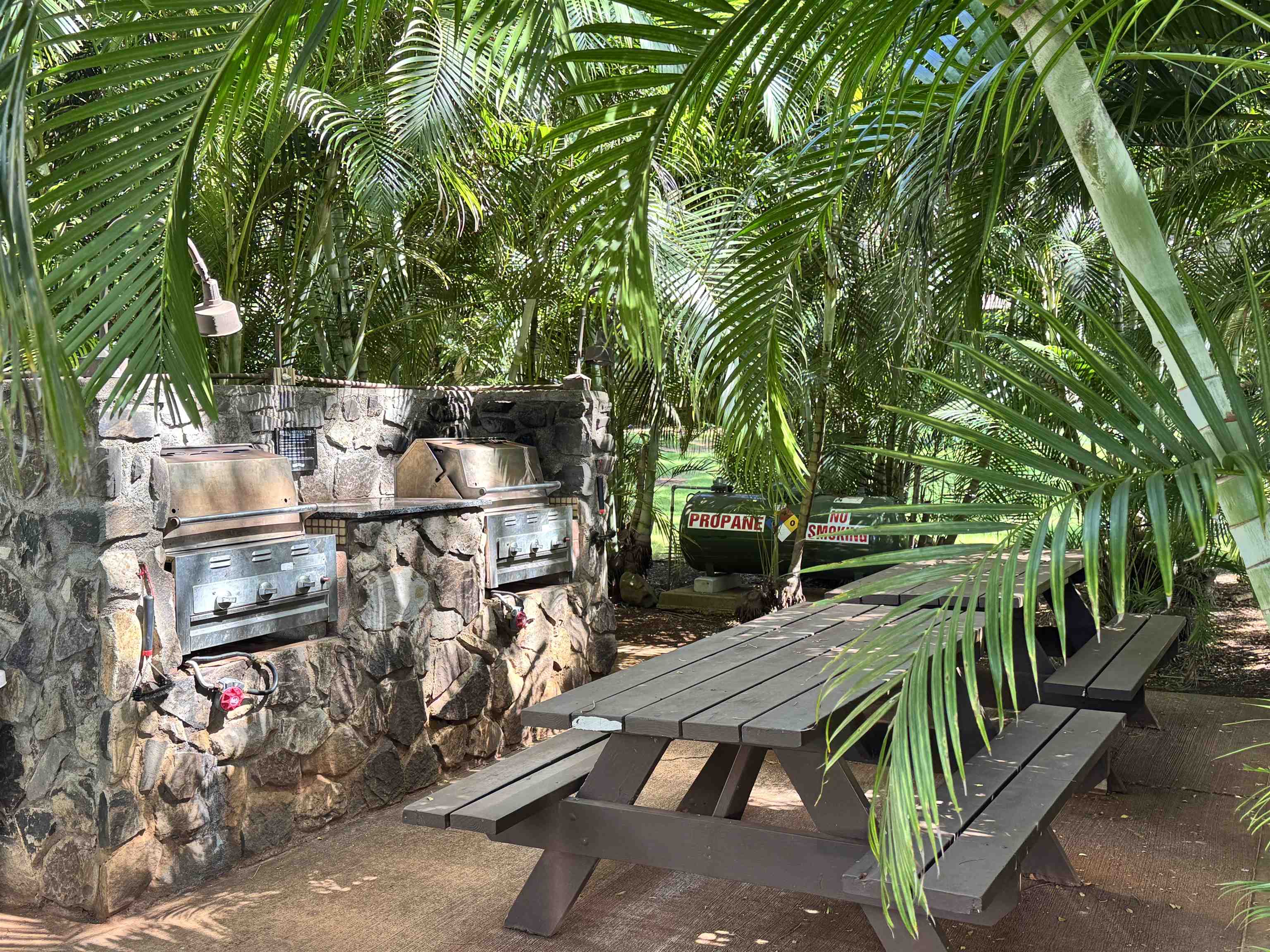 Paniolo Hale condo # E-2, Maunaloa, Hawaii - photo 32 of 32