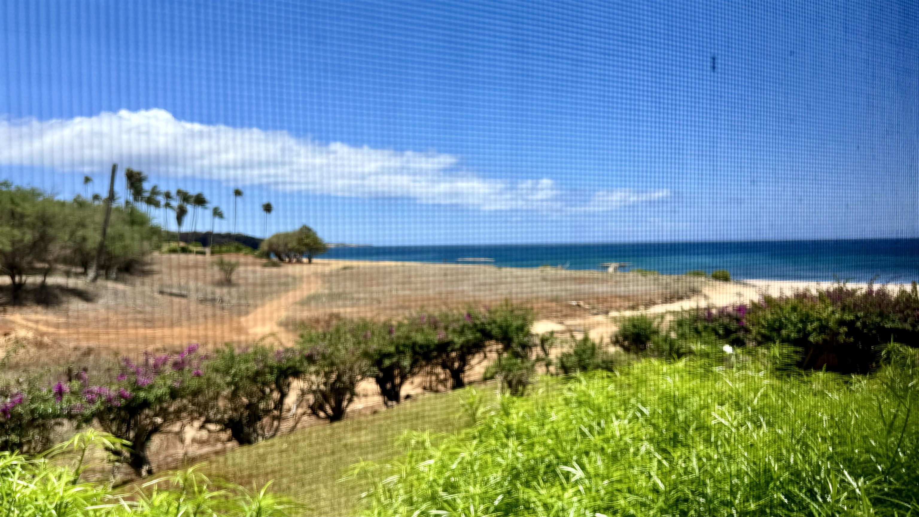 Paniolo Hale condos for sale in Molokai West Molokai