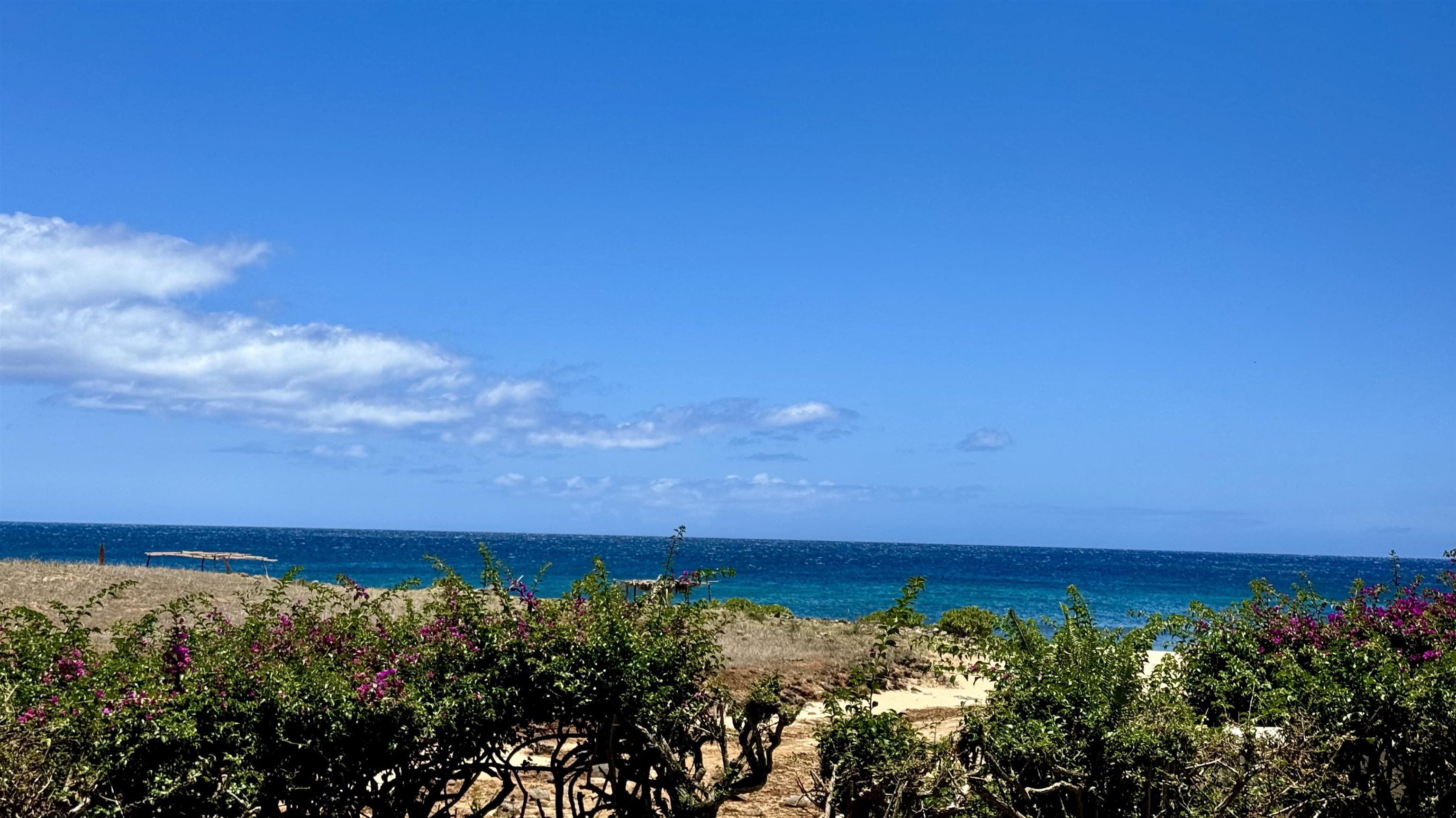 Paniolo Hale condo # I2, Maunaloa, Hawaii - photo 26 of 41