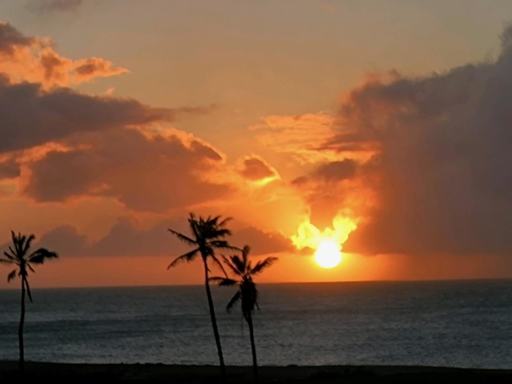 Paniolo Hale condo # I2, Maunaloa, Hawaii - photo 37 of 41