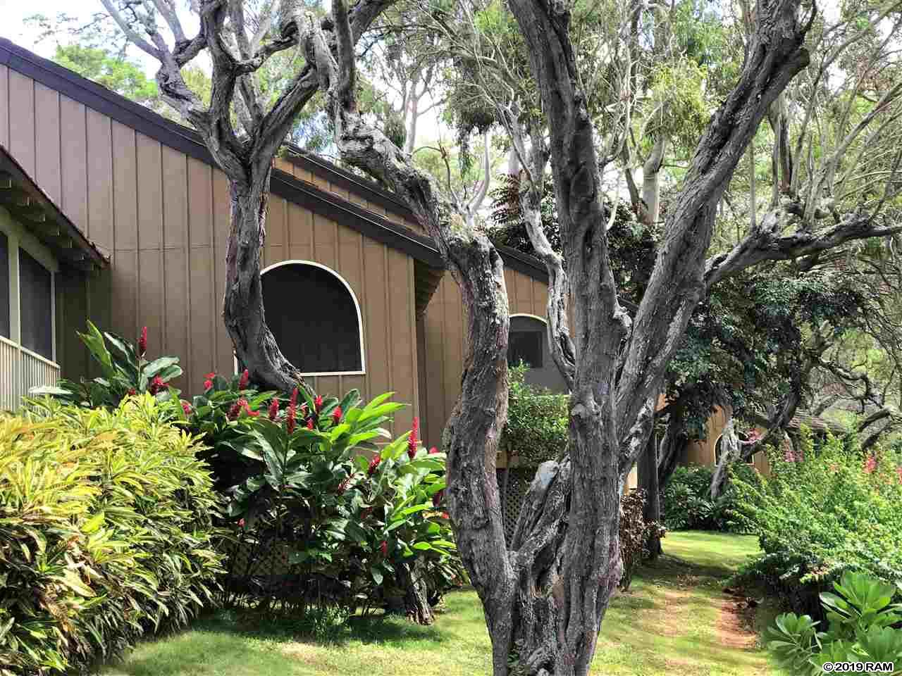 Paniolo Hale condo # J3, Maunaloa, Hawaii - photo 13 of 14