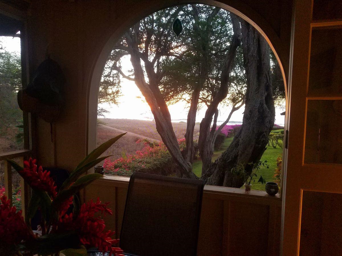 Paniolo Hale condo # J-3, Maunaloa, Hawaii - photo 16 of 23