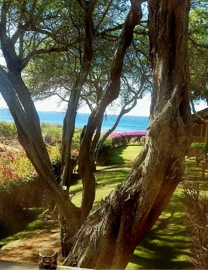 Paniolo Hale condo # J-3, Maunaloa, Hawaii - photo 22 of 40