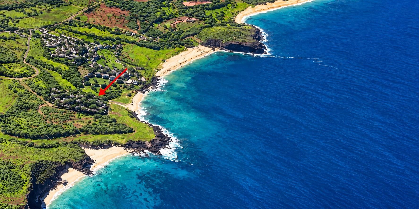 Paniolo Hale condo # N-4, Maunaloa, Hawaii - photo 4 of 37