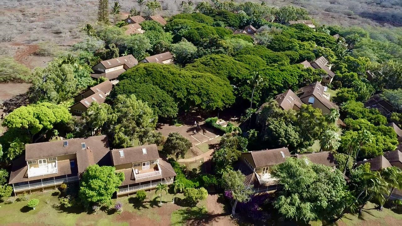 Paniolo Hale condo # N-4, Maunaloa, Hawaii - photo 31 of 37