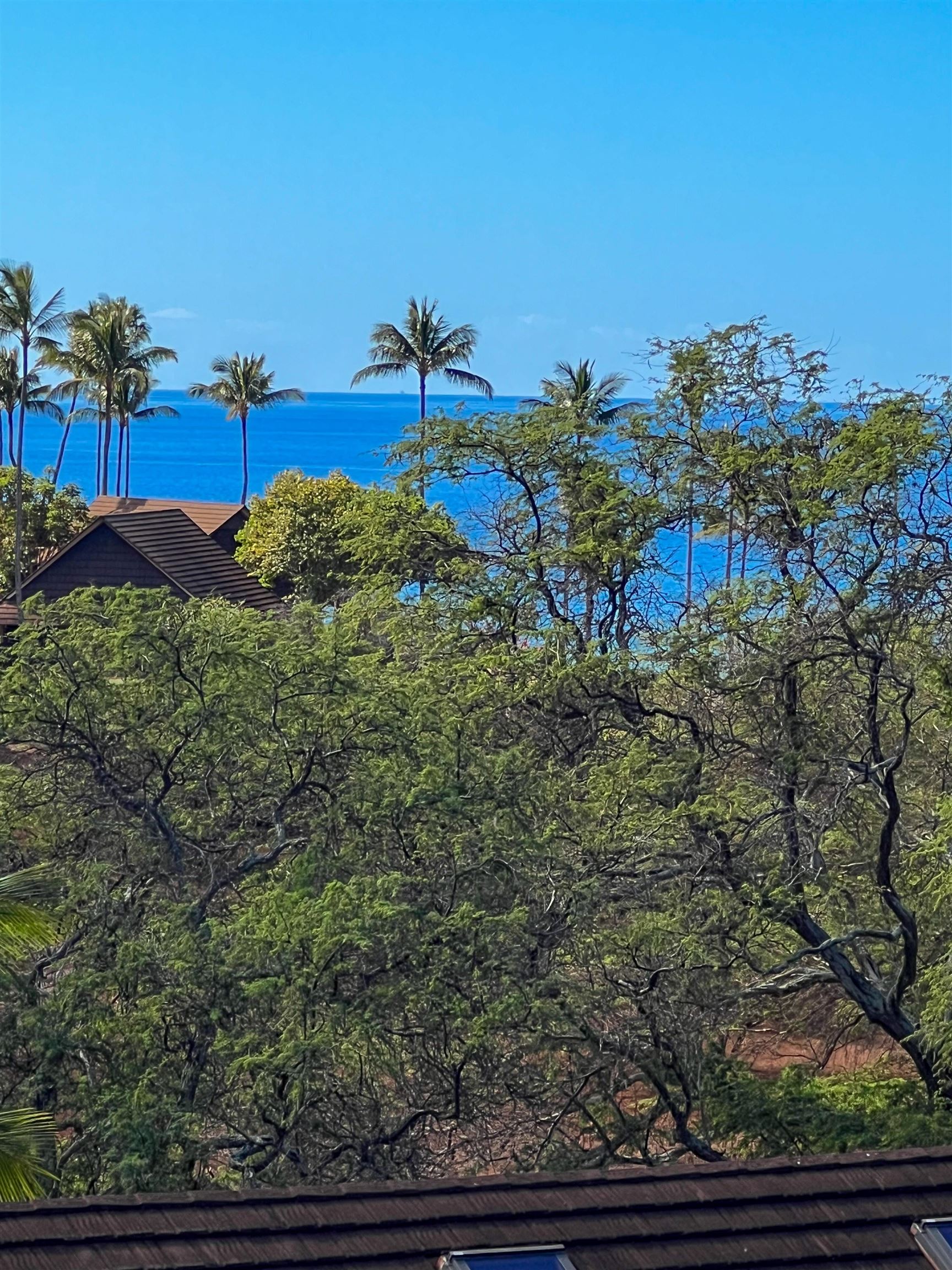 Paniolo Hale condo # P1, Maunaloa, Hawaii - photo 18 of 35